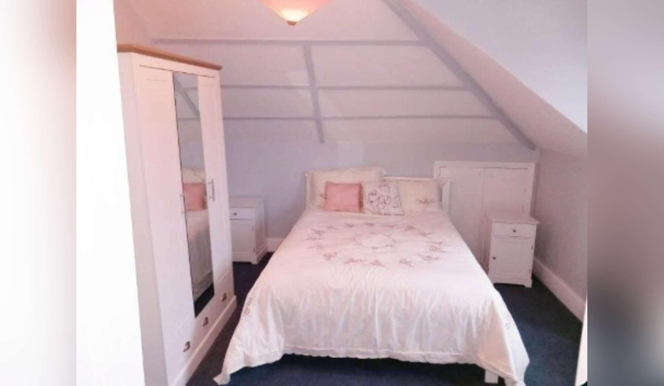 Nice house-sit in TW11 with good airy place and nice mini Labradoodle - Image 8