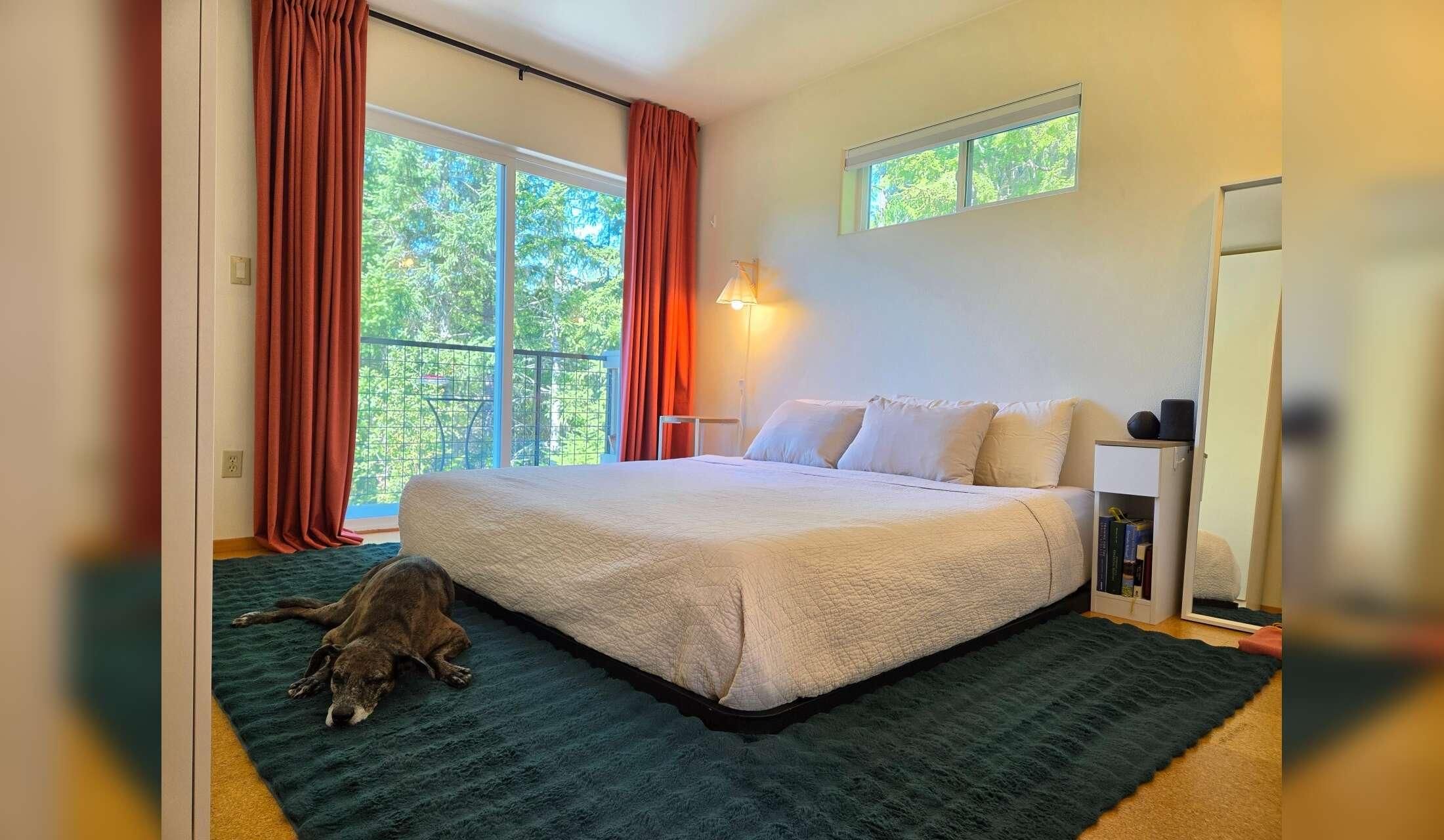 Forest retreat with a view. Flexible dates! - Image 5