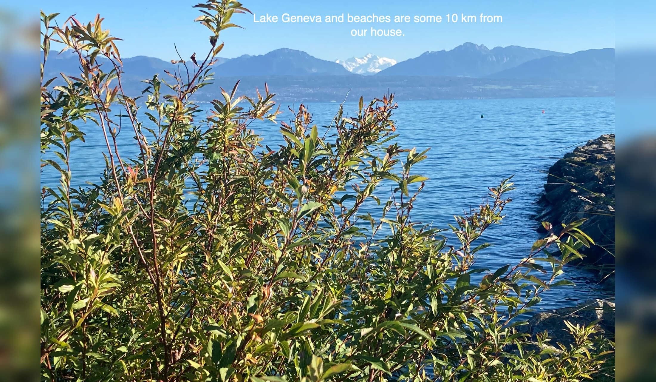 Cat Sitter Wanted: Cosy October Stay (2 weeks) in Our House near Lausanne - Image 8