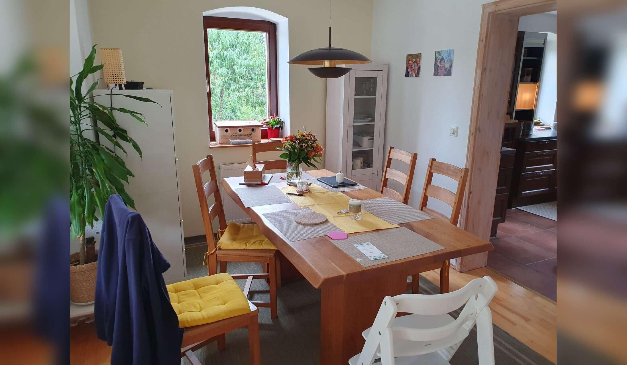 Peaceful house sit with our lovely dog Runa near Dresden / Germany - Image 5