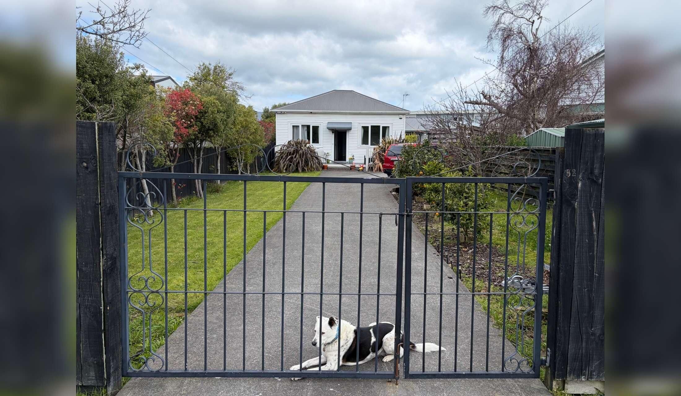Sunny cottage and garden with big doggo love