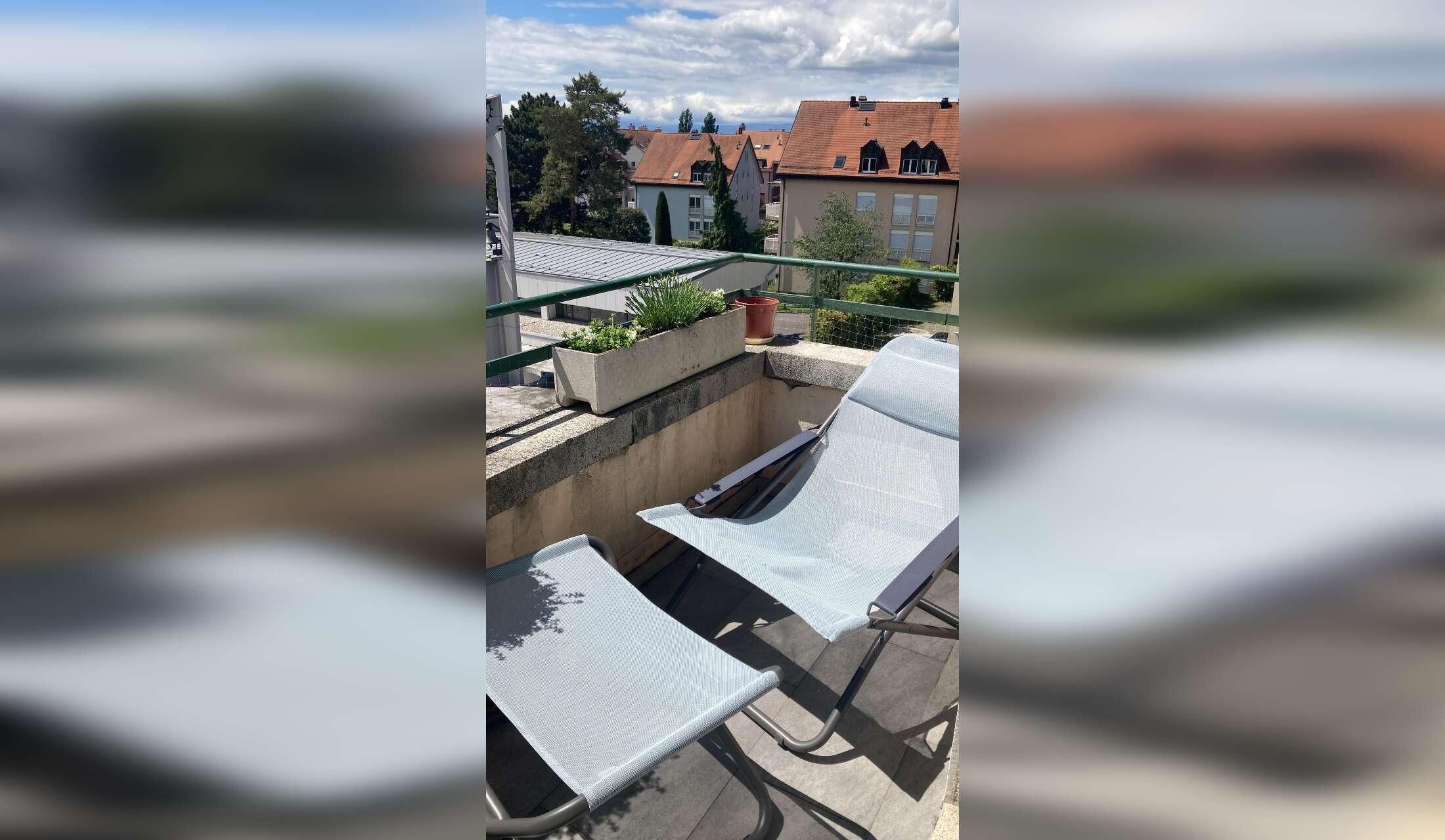 Cat lover - Stay near Lausanne, Switzerland - Image 8