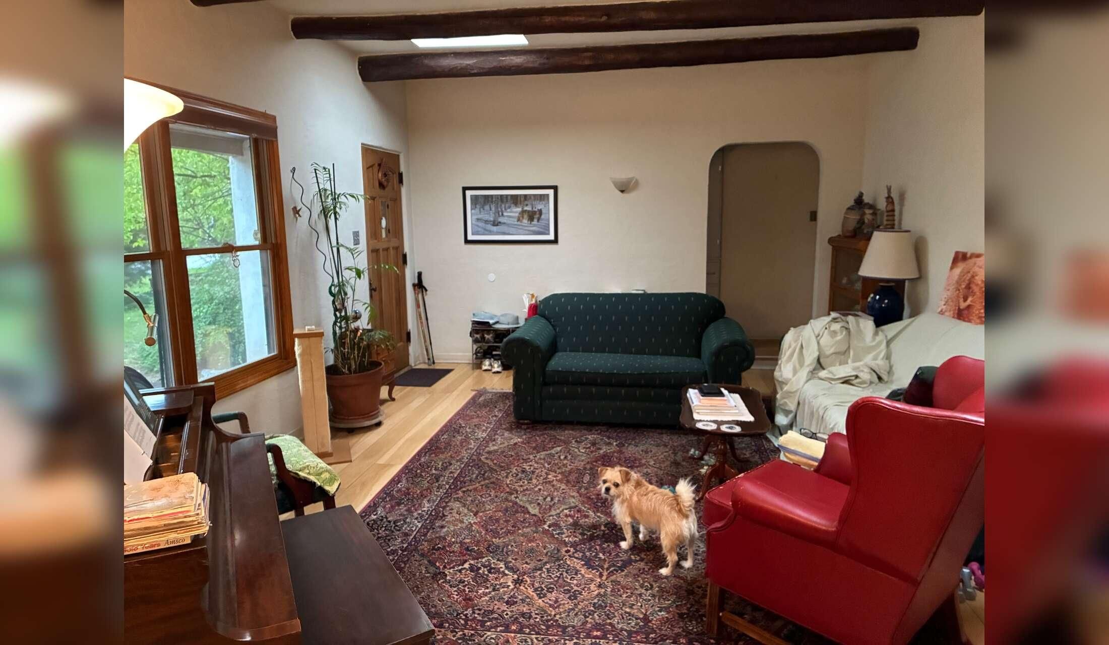 Nice home near University of NM and Nob Hill with sweet 16 pound terrier mix - Image 5