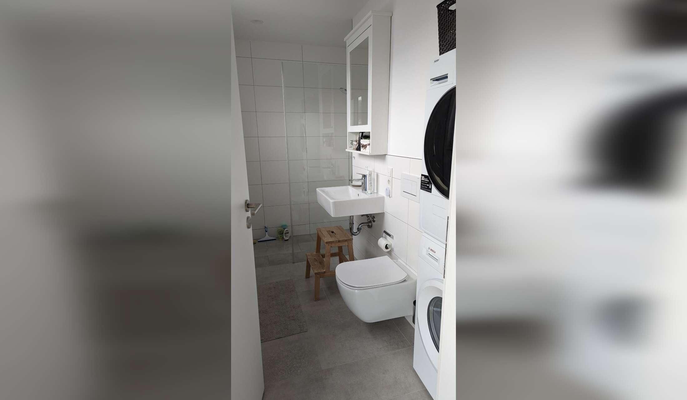 Looking for a cat sitter for 2 Sacred Birman cats near Munich - Image 7