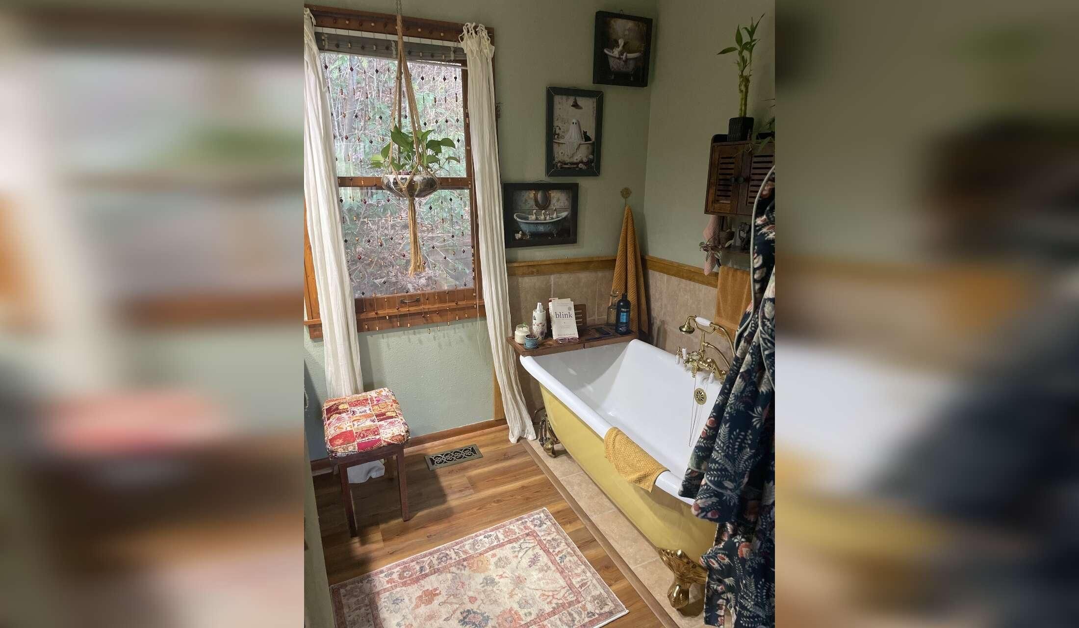 Beautiful Home, Cats, Plant Care - Image 7