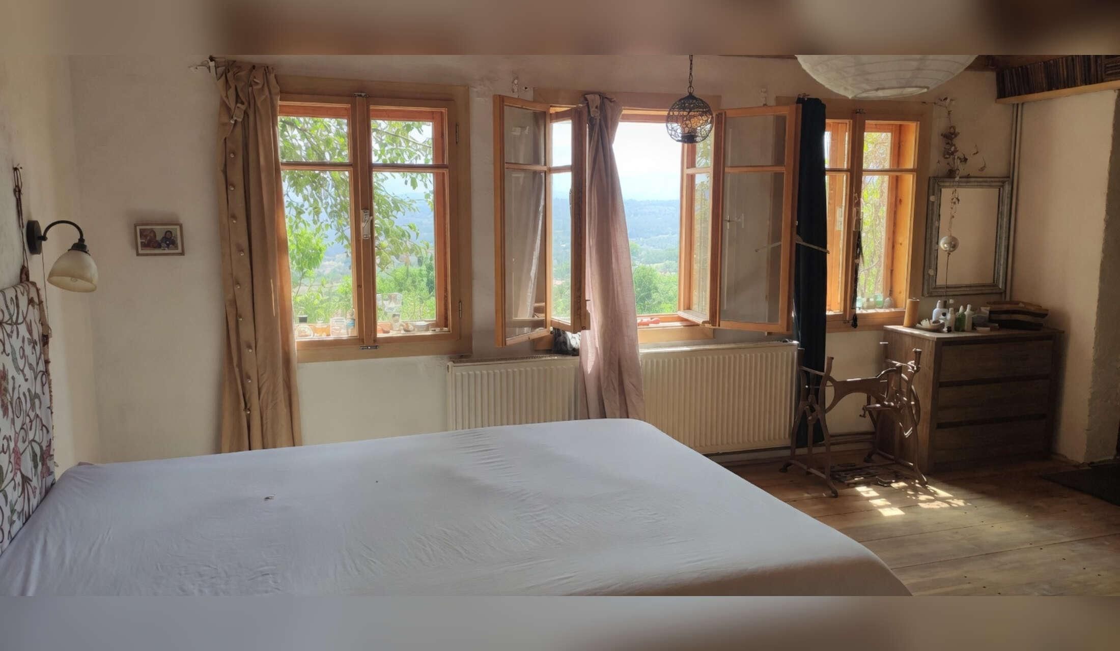Secluded farmhouse in the Banat hills with a great view, close to the danube. Dogs, cats, chickens - Image 4