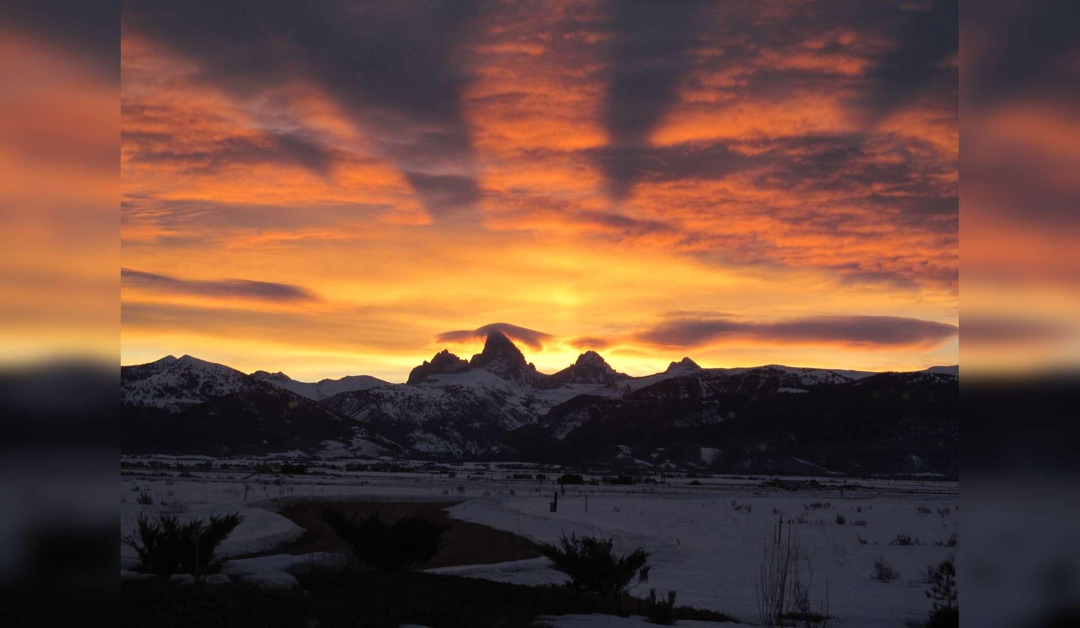 Autumn house sitting opportunity by Grand Teton National Park
