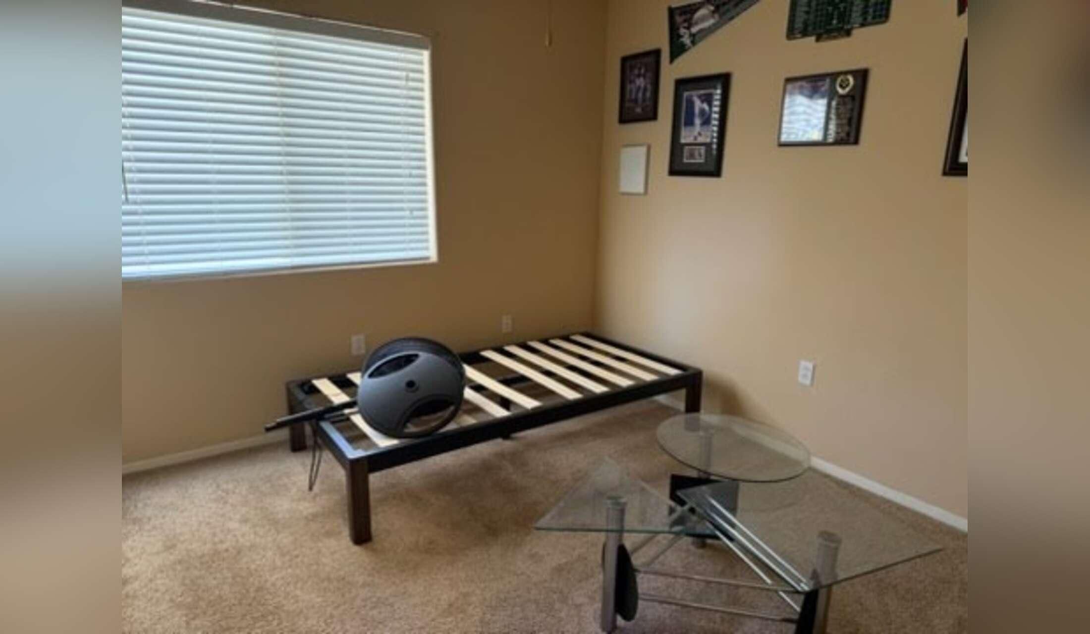 Quiet comfortable house sitter - Image 4
