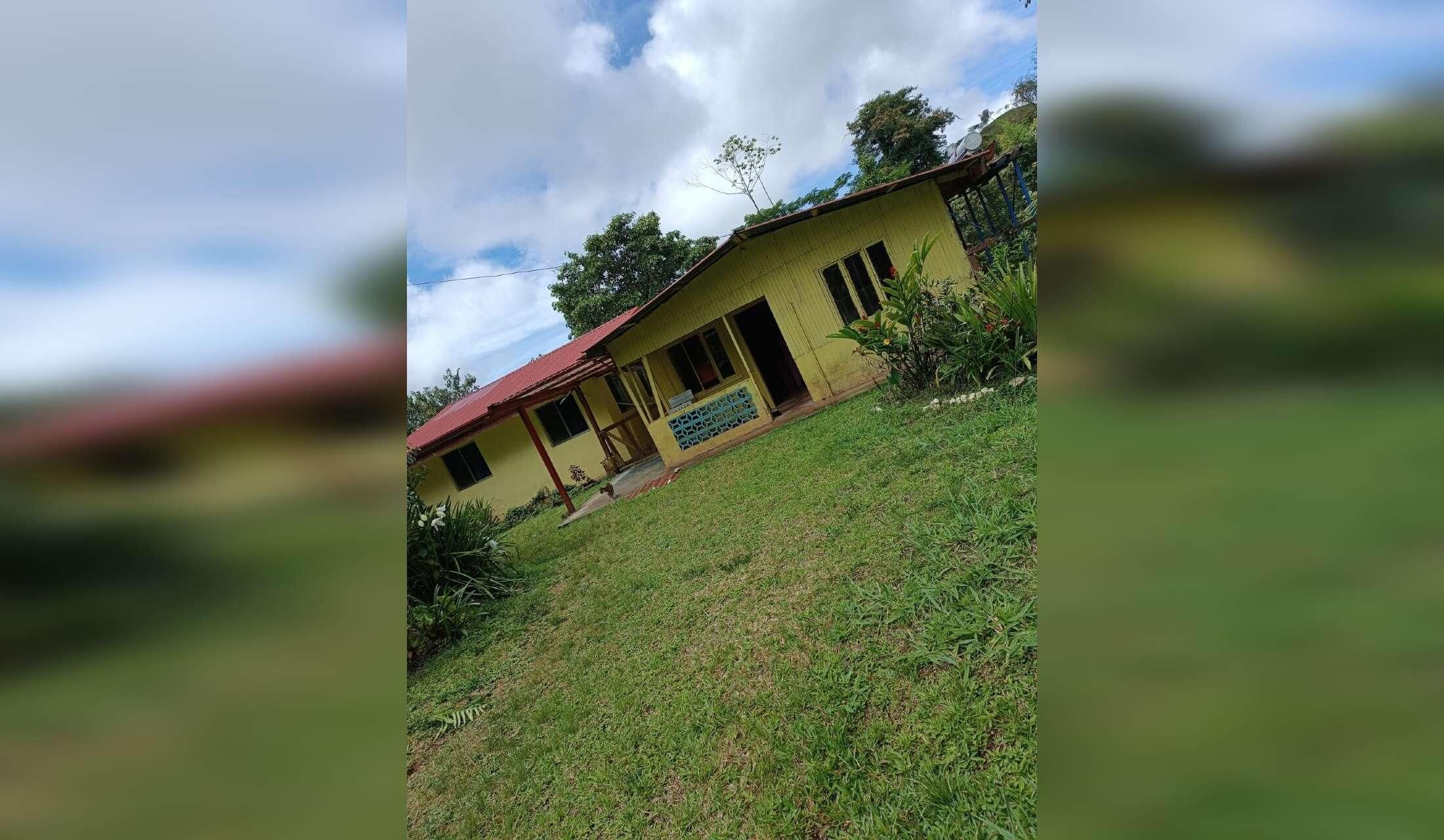 House and farm long term sitter