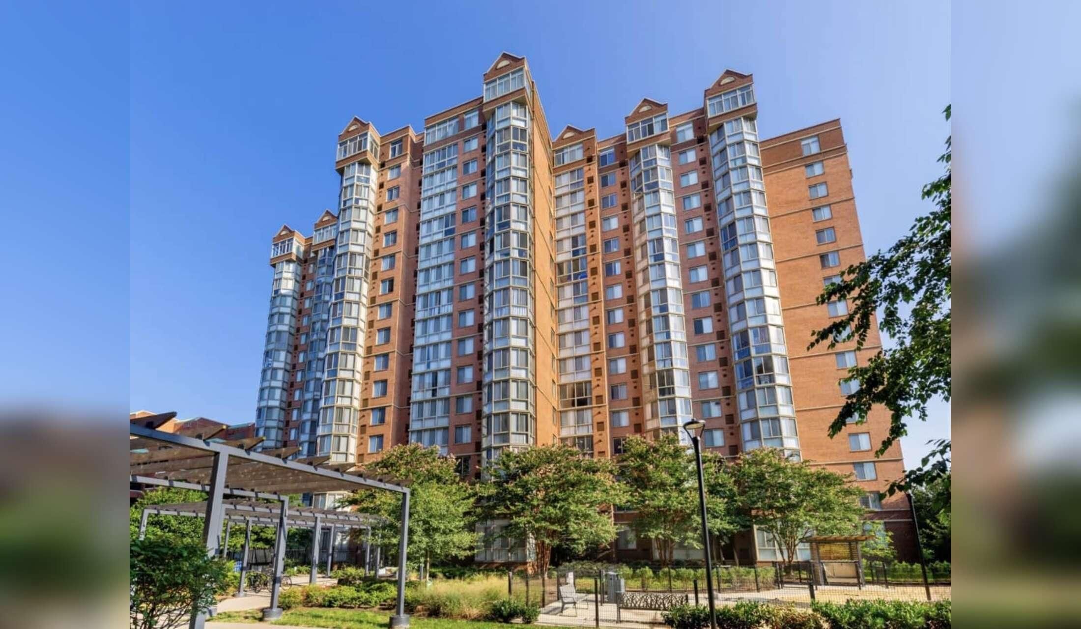 Easy DC living with loving pups! Remote work friendly and no car needed :) - Image 9