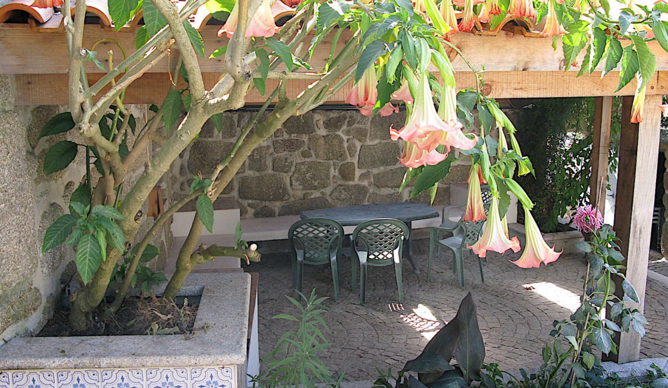 House in Central Portugal - Image 3
