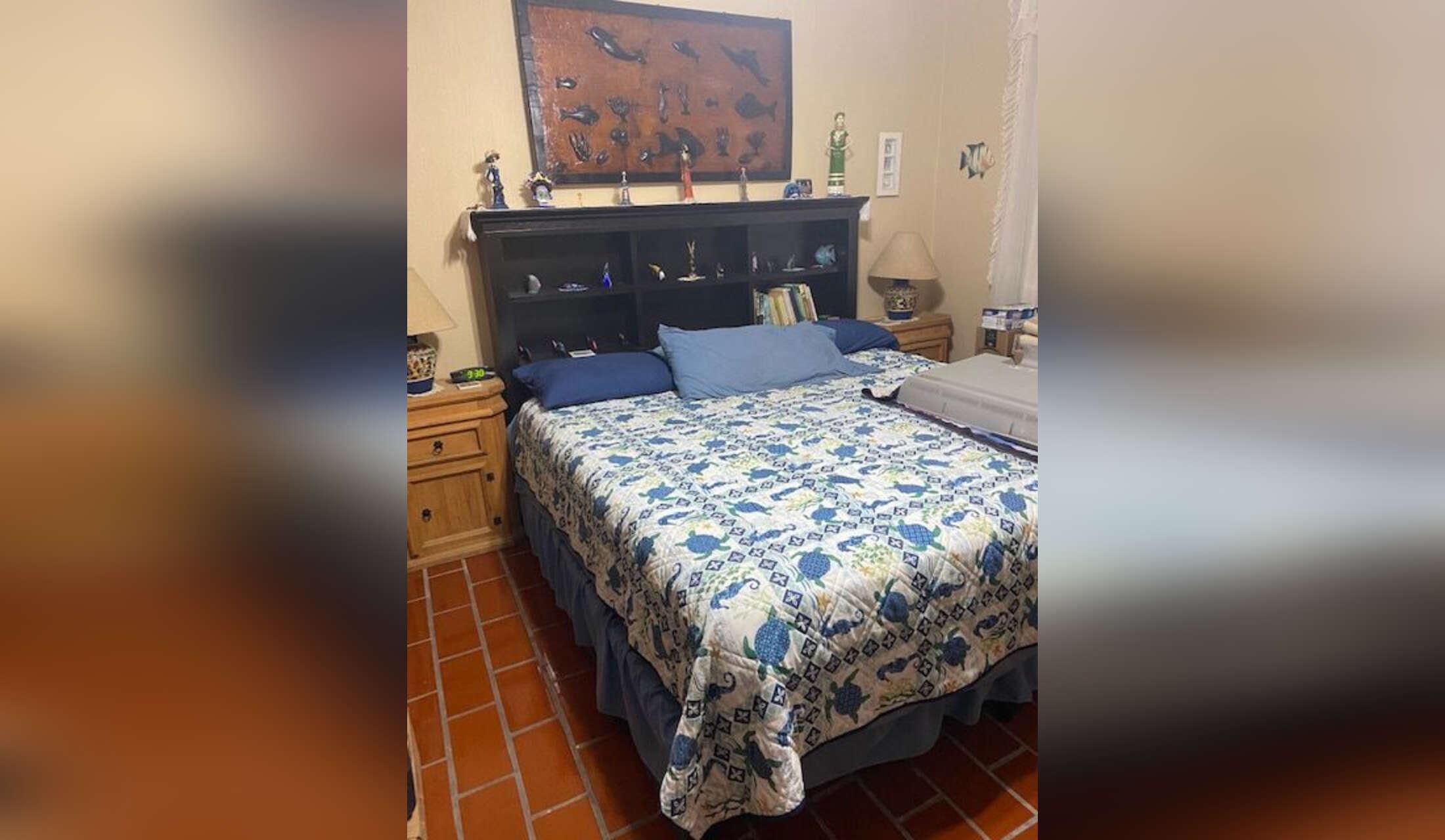 House Sitter Needed in Chapala, Jalisco, Mexico - Image 9