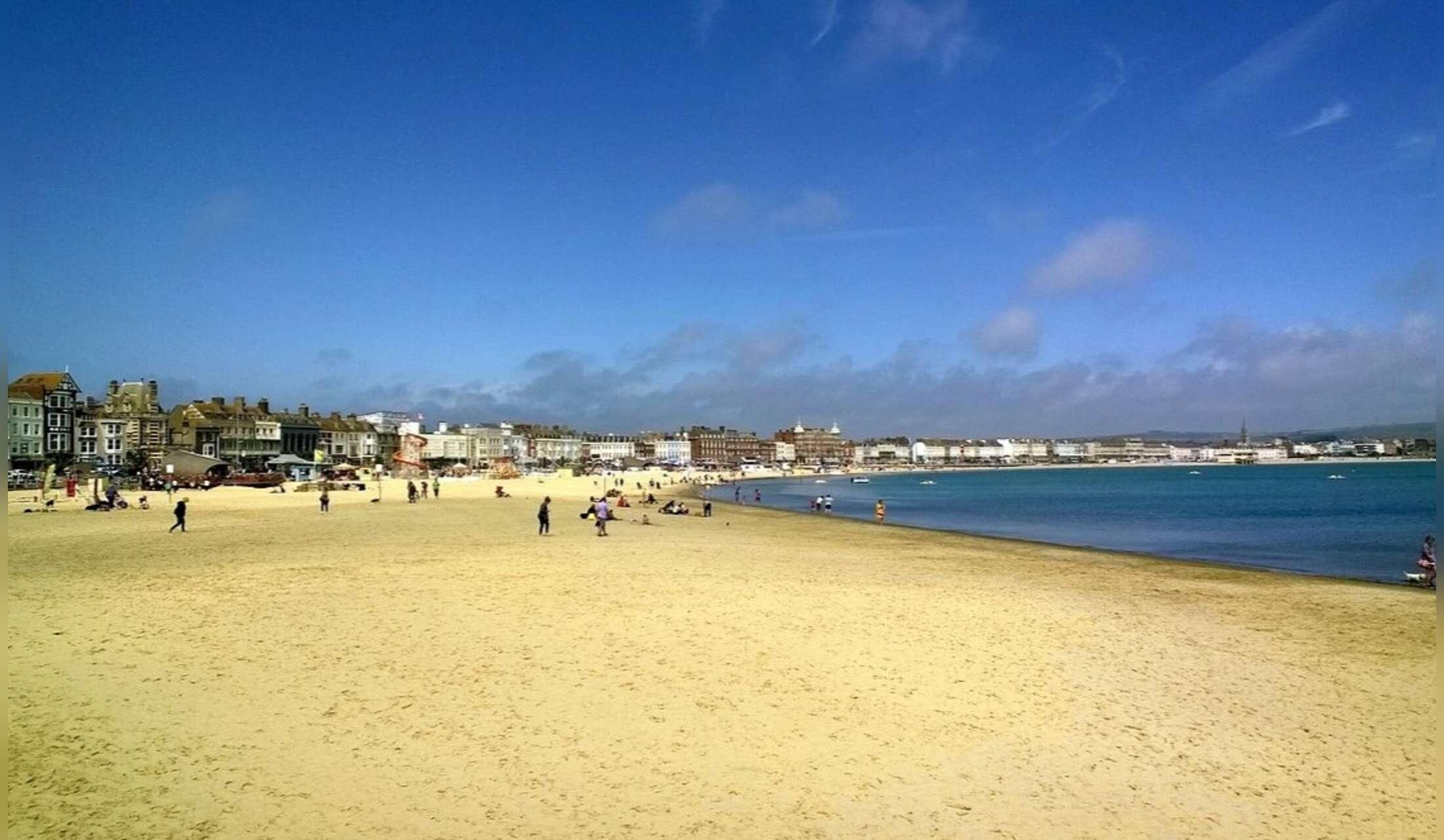 Sitter needed  for looking after 1 soppy cat, April 10-17,in the seaside town of Weymouth - Image 6