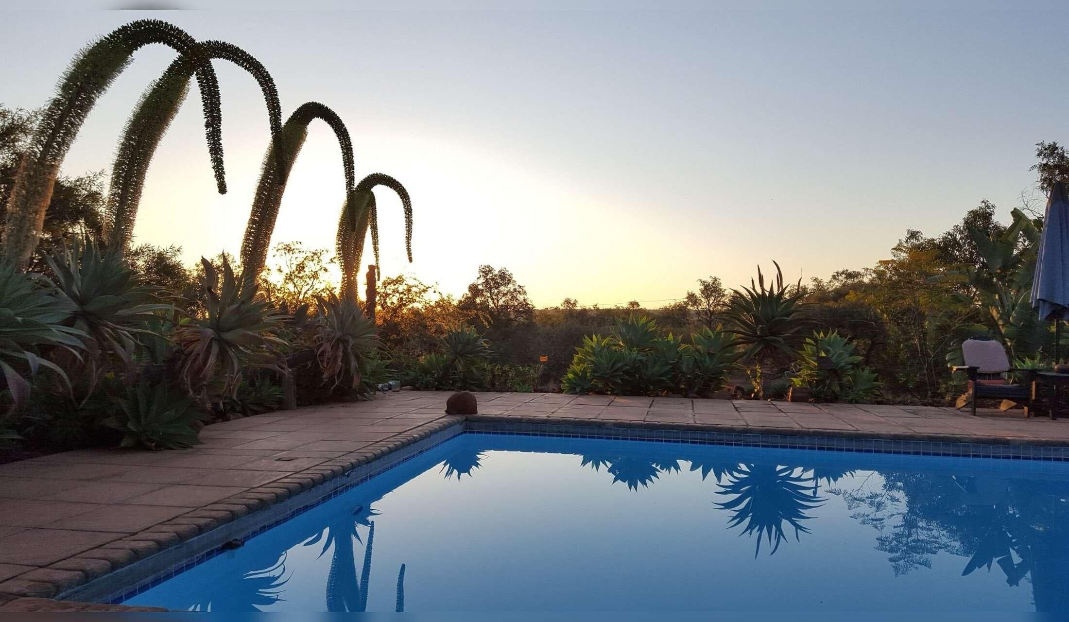 House sit in the african bush - Image 3
