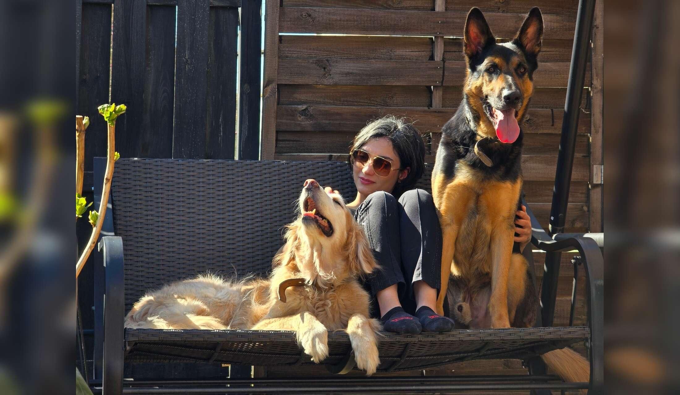 Looking for kind and experienced sitters - Image 2