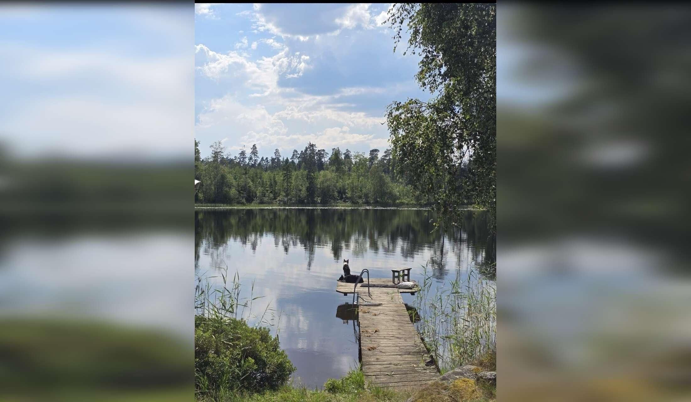 Peaceful lakeside home, 3 lovely dogs, sauna & car – Swedish countryside near Gothenburg | 22 Oct–2 Nov - Image 4