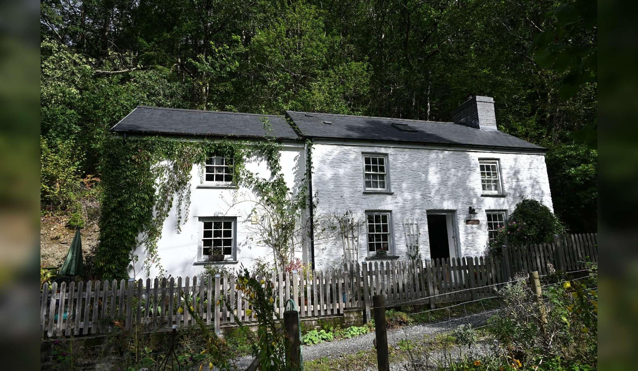 West Wales Cat and Cottage Sit