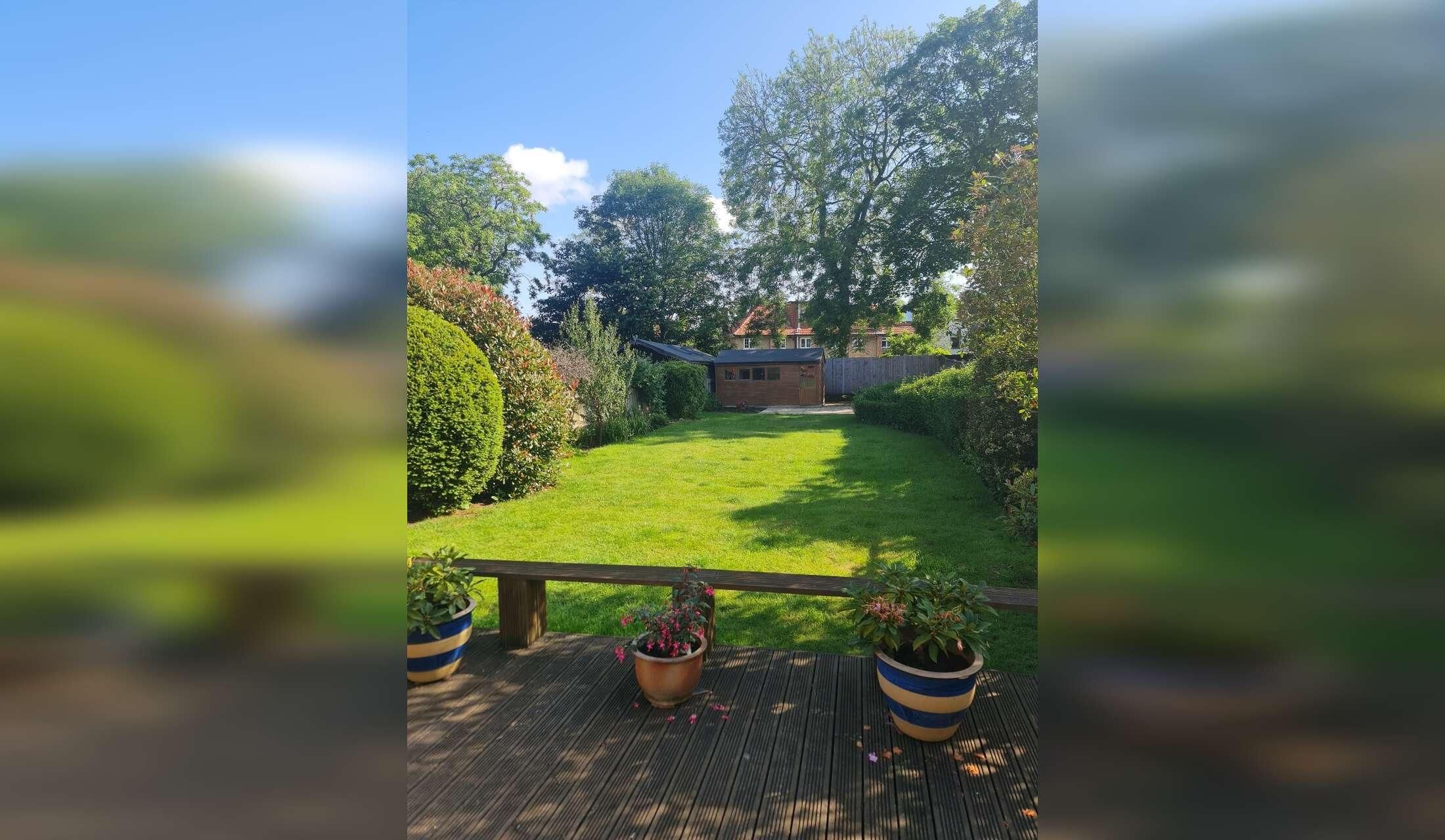 Nice house-sit in TW11 with good airy place and nice mini Labradoodle - Image 3