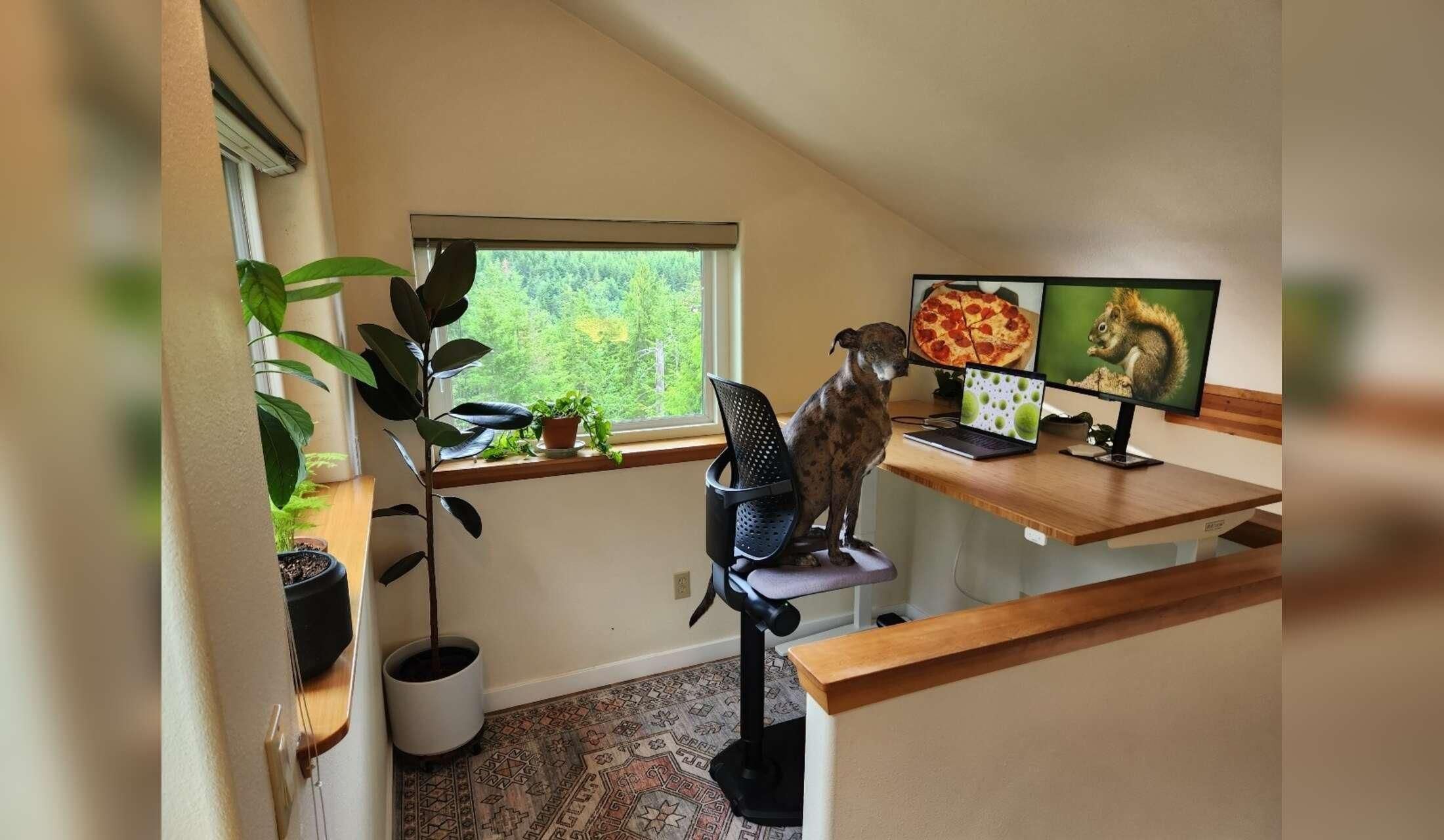 Forest retreat with a view. Flexible dates! - Image 7