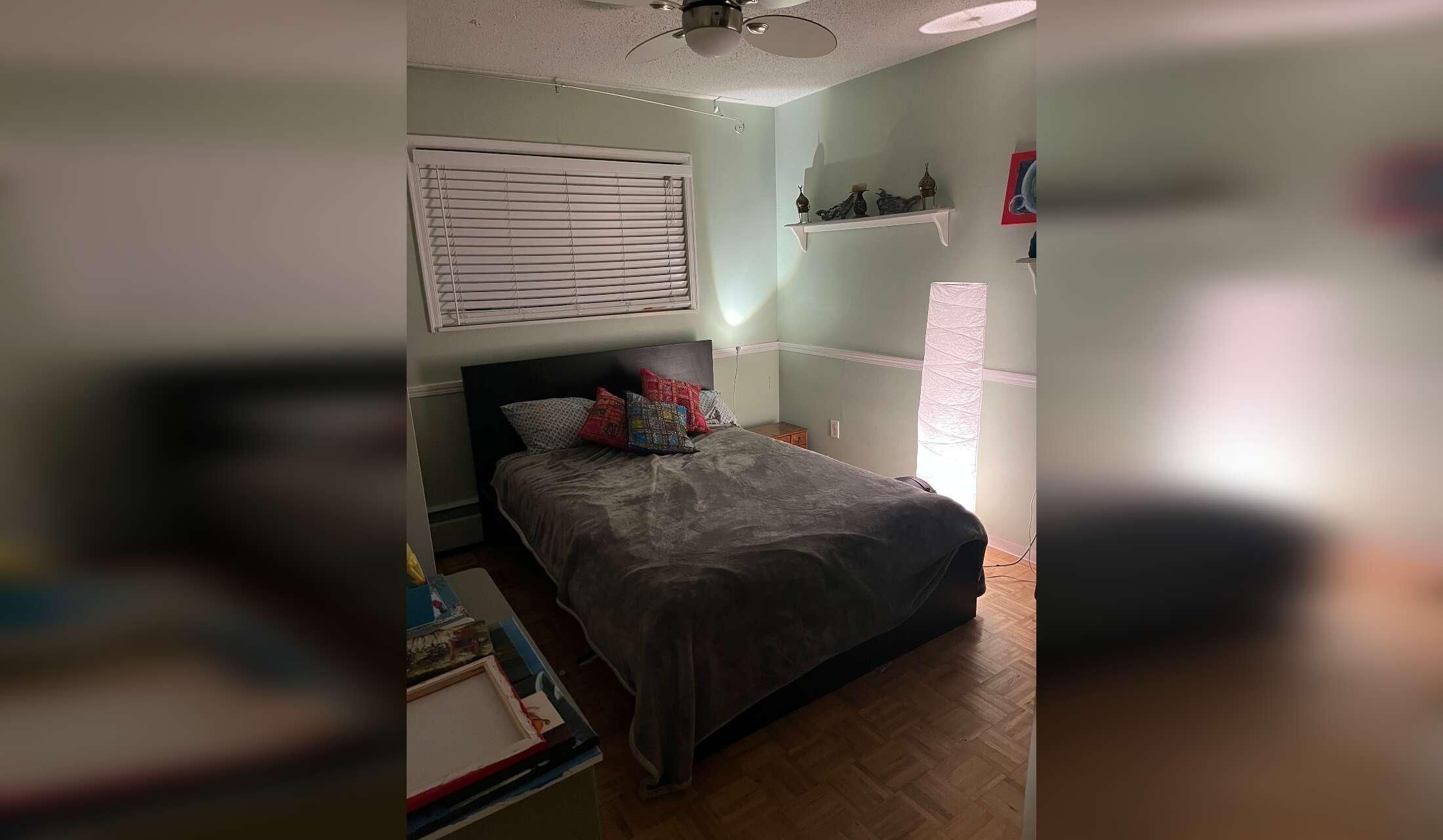 2 B floor level apt with rose garden, studio & adoring golden retriever Sept 13-20 - Image 4
