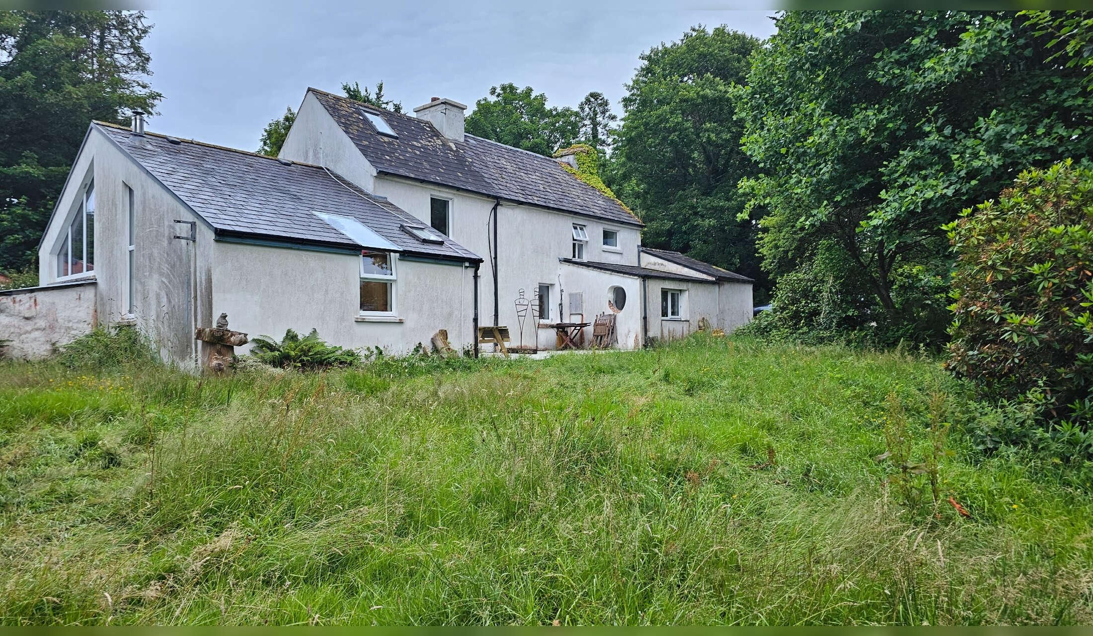 House/cat sitter needed 22 - 28 September at gorgeous house in Bantry - Image 5