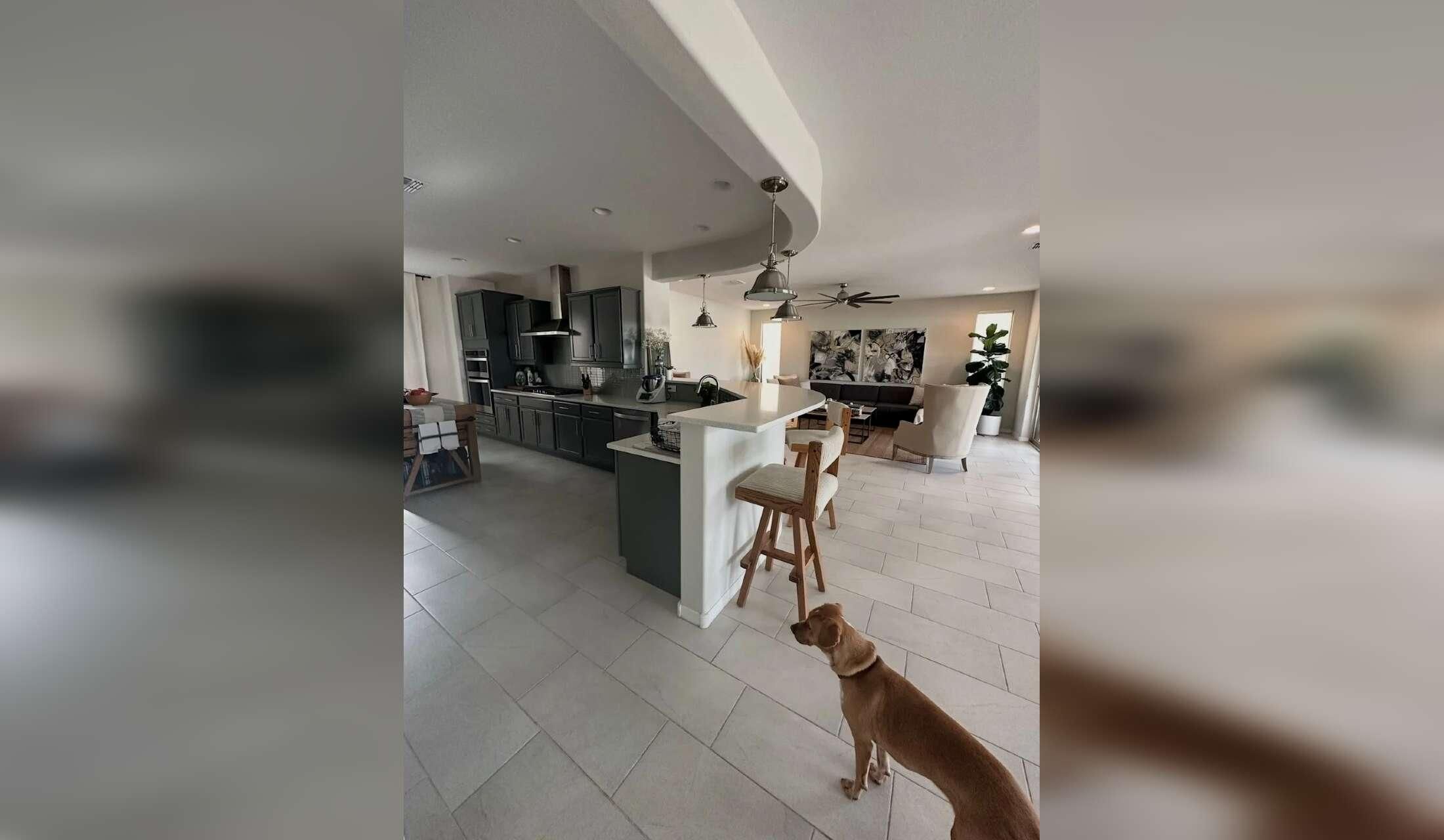 Come stay with Nacho and Blue in our desert home! - Image 6