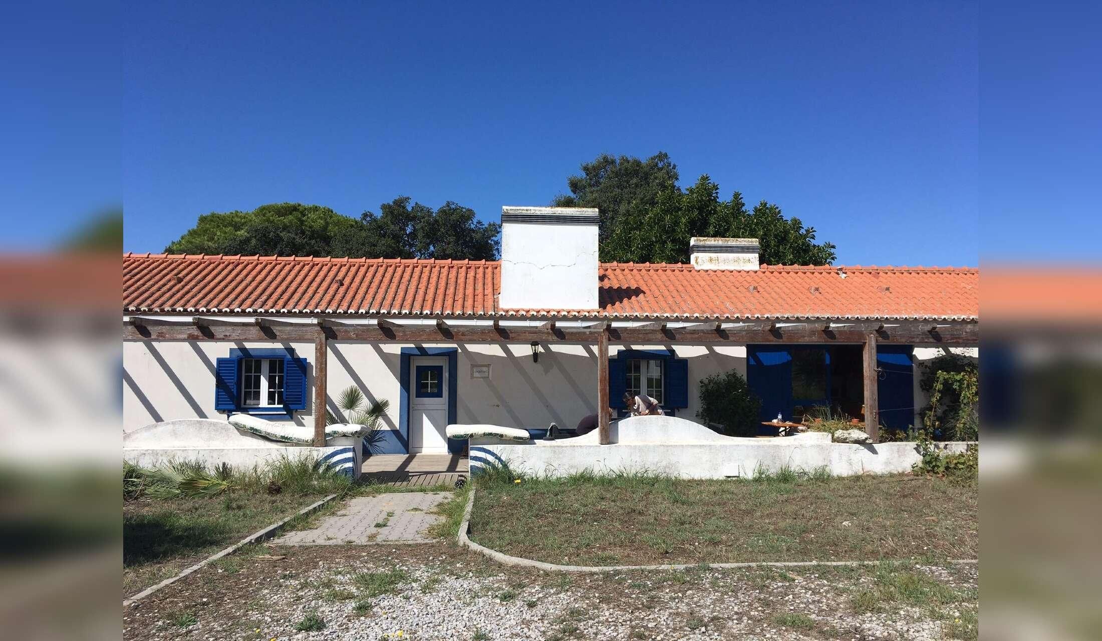 Farm stay in Melides, Portugal - Image 4
