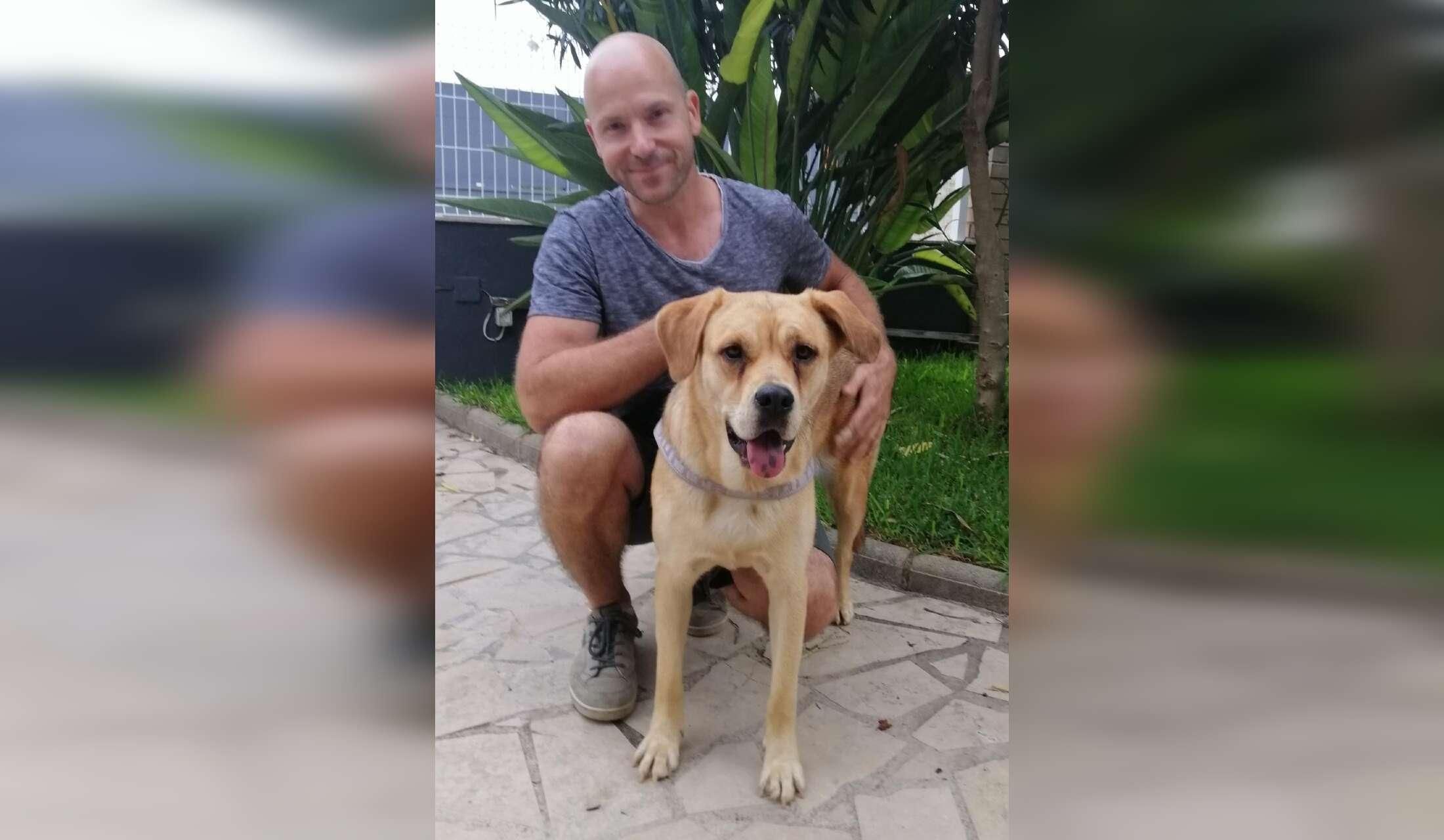 Wanted House, dog and cat sitter in Spanish mountains - Image 2