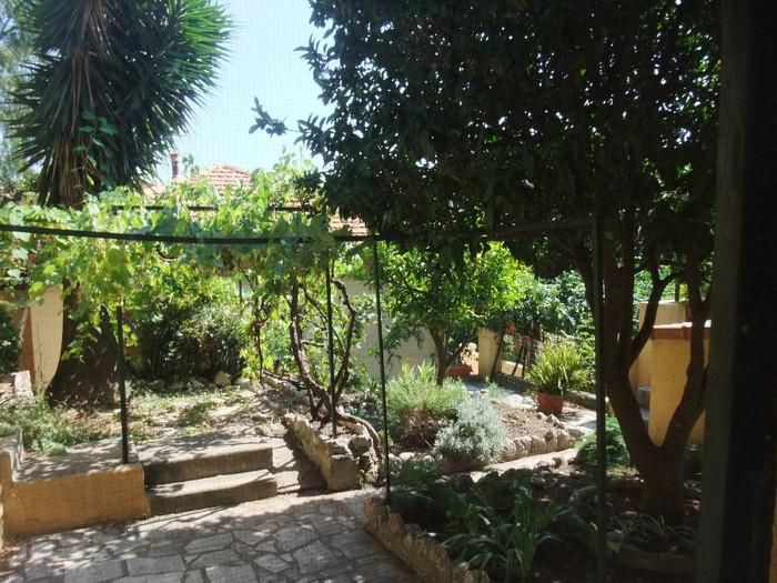 Charming Nice Villa with 2 happy Cats: sunlit and well-located - Image 4