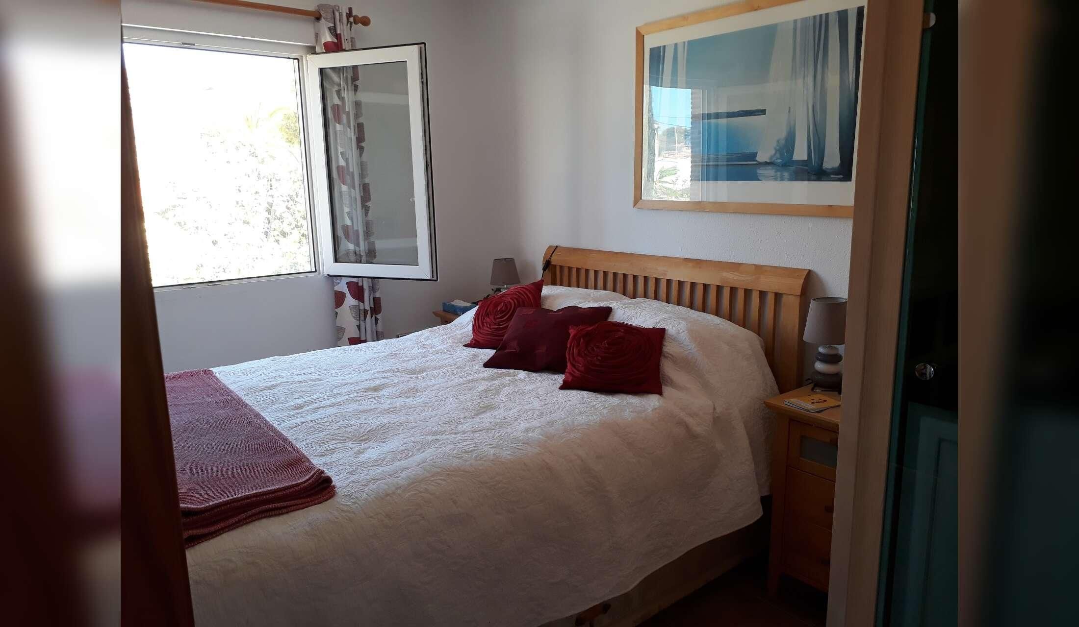 Detached 2 bedroom house in quiet village next to the Mar Menor with 7 cats to care for - Image 9