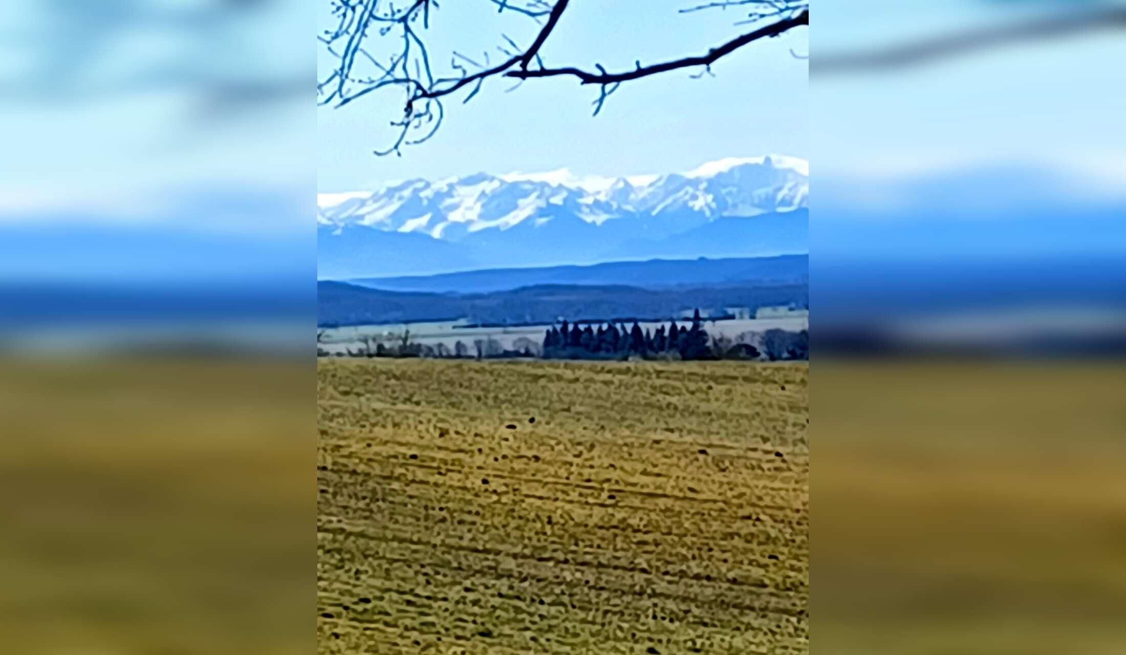 French Country Dream - Image 6