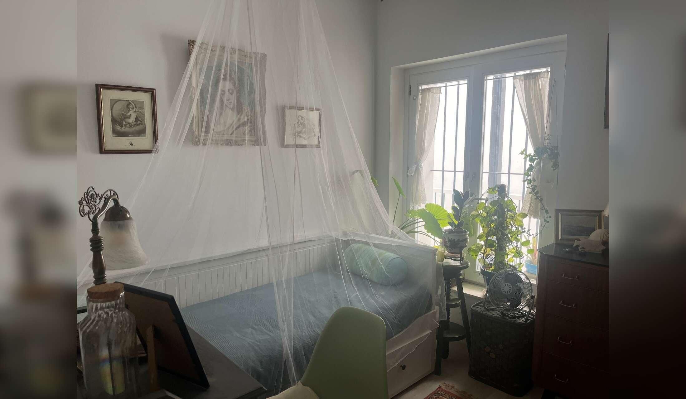 Cute apartment with dog and cat near the beach - Image 5