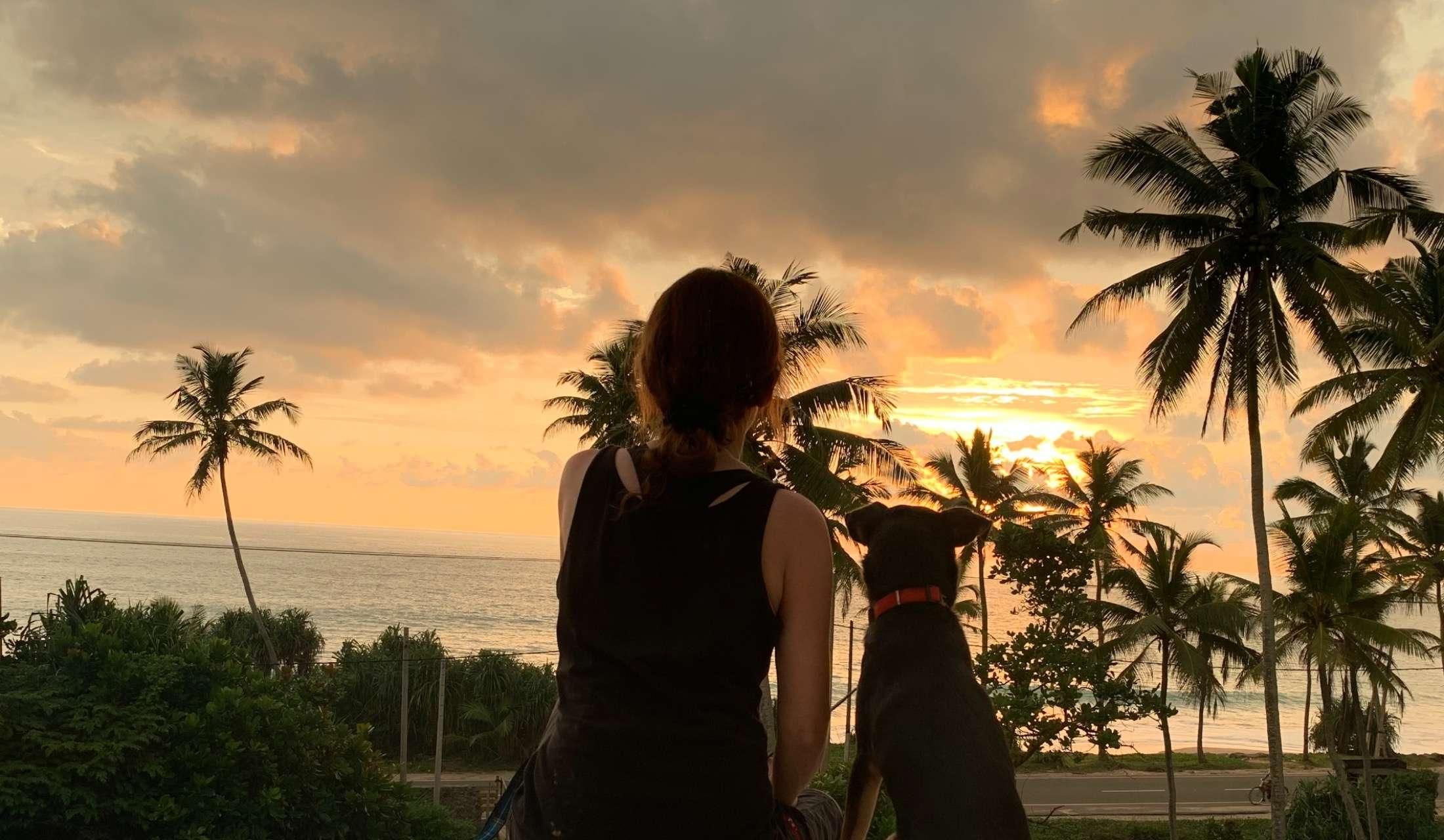 Living in Paradise - Image 5