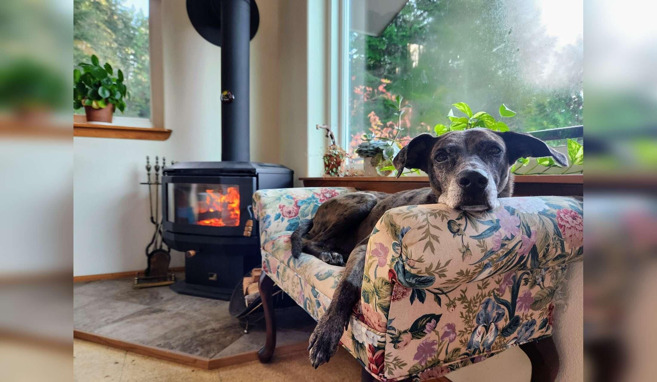 Forest retreat with a view. Flexible dates! - Image 9