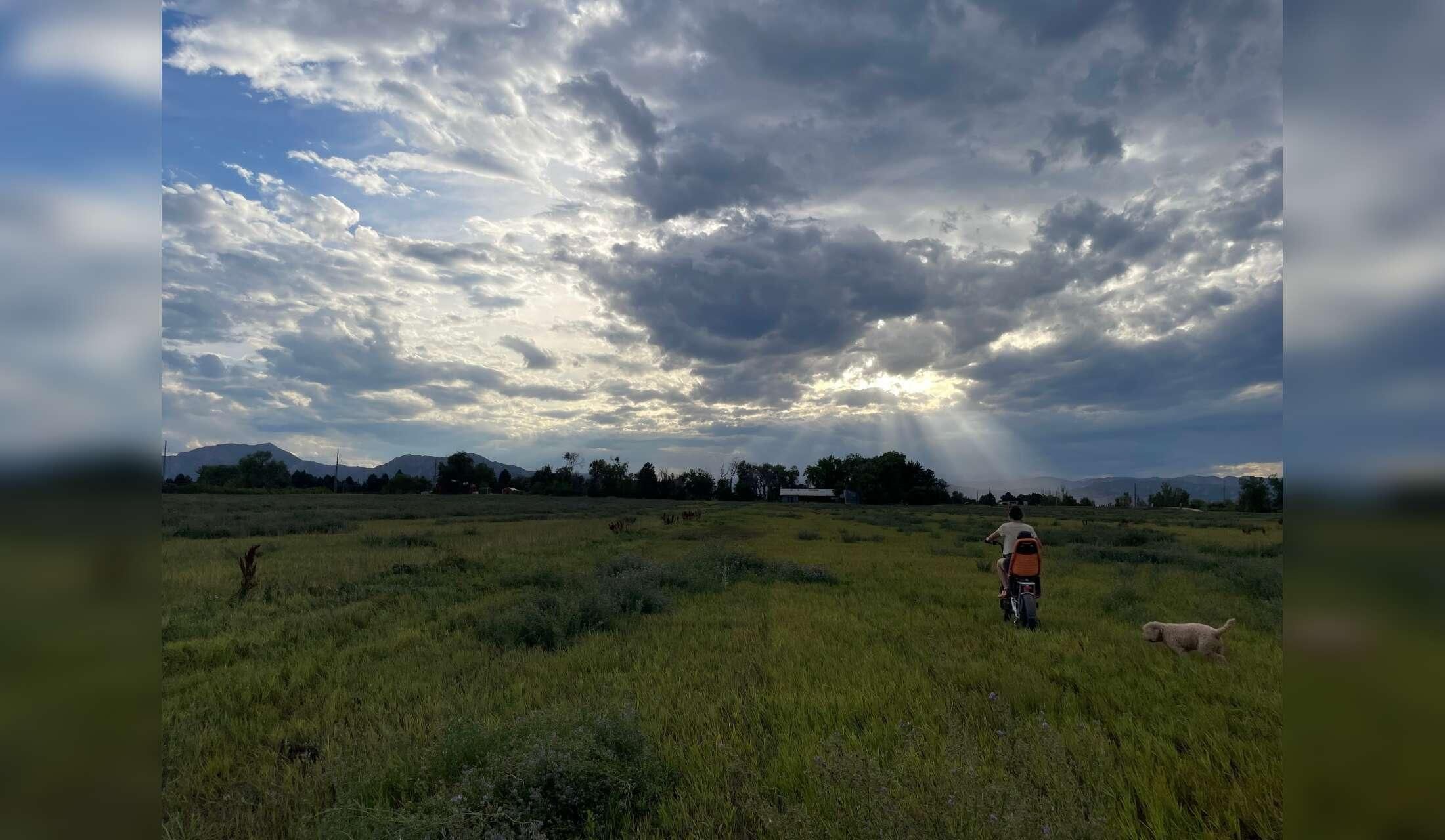10 day/ 9 night Farm Stay in Boulder, CO! - Image 2