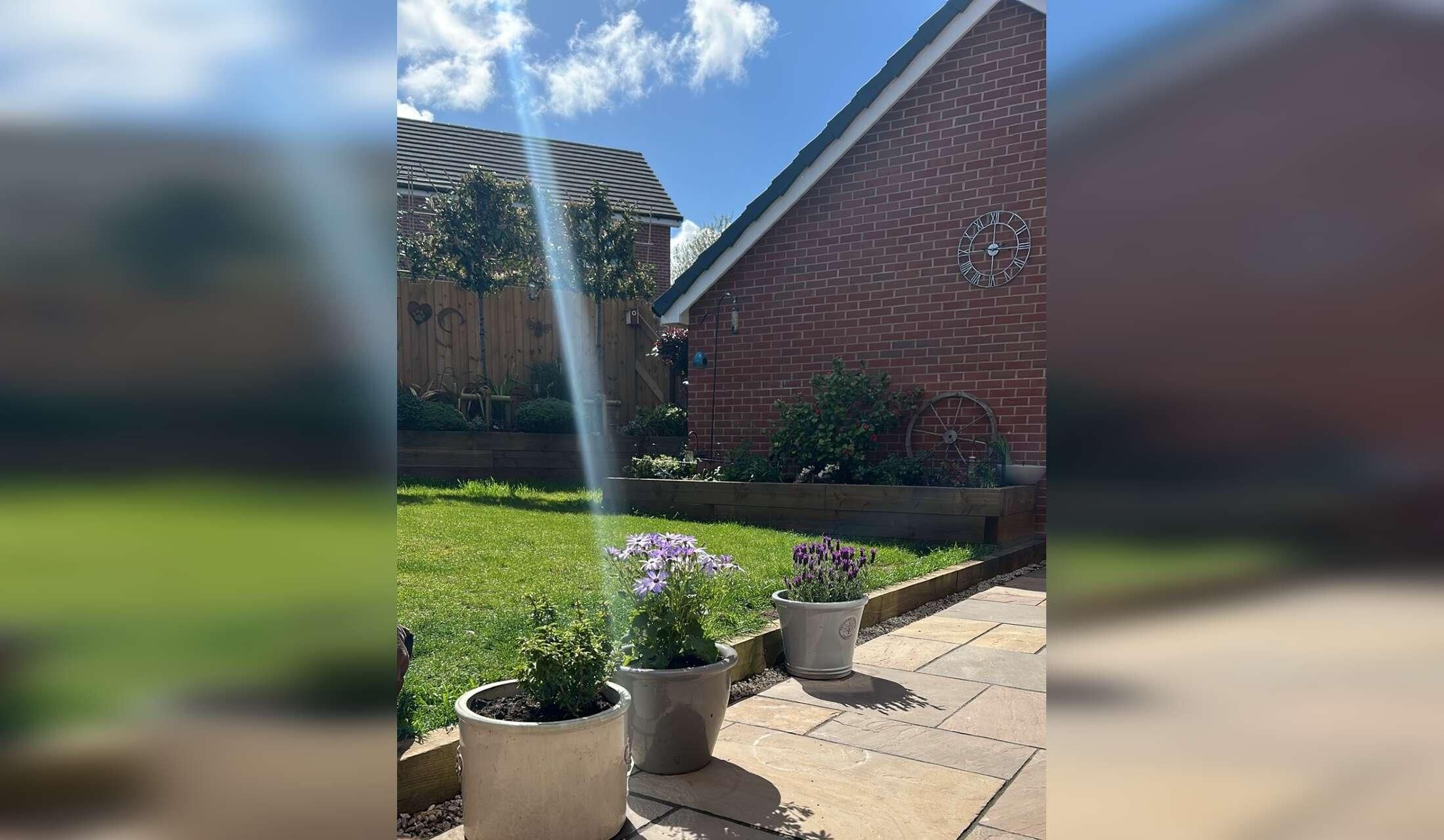 House sitting in Somerset - Image 10
