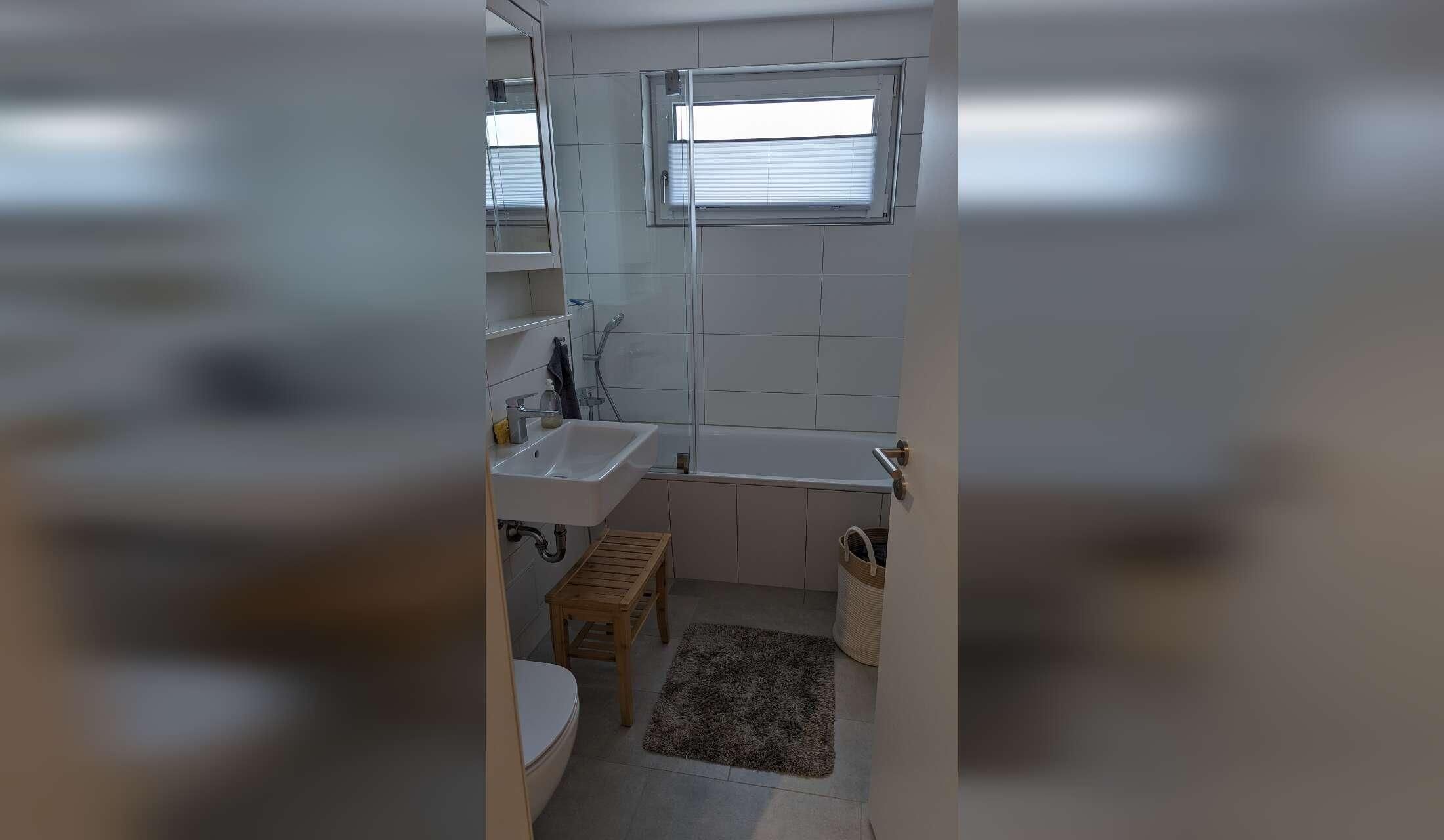 Looking for a cat sitter for 2 Sacred Birman cats near Munich - Image 4
