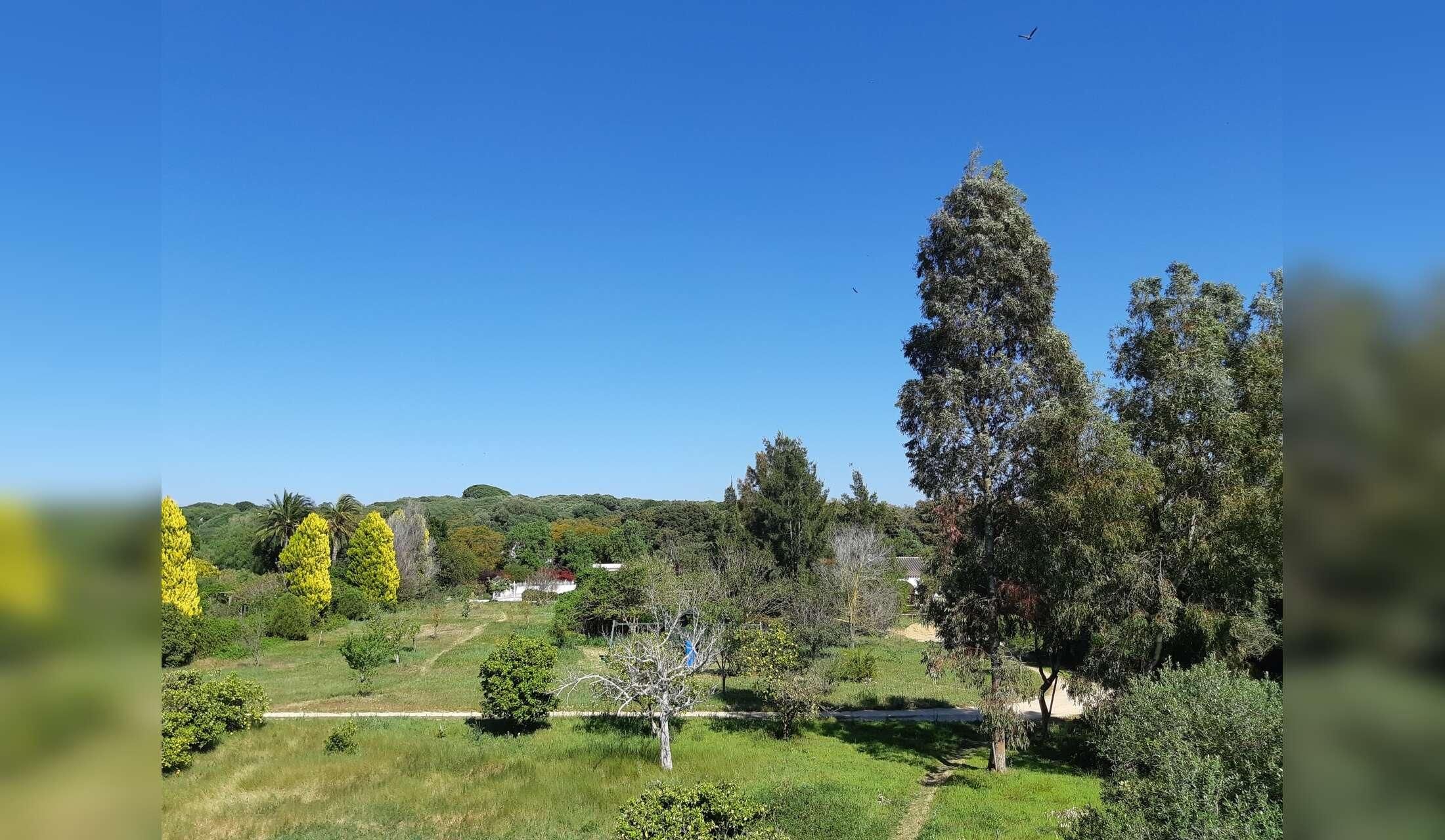 2 adults for 2 months to care for Spanish finca with cats - Image 2