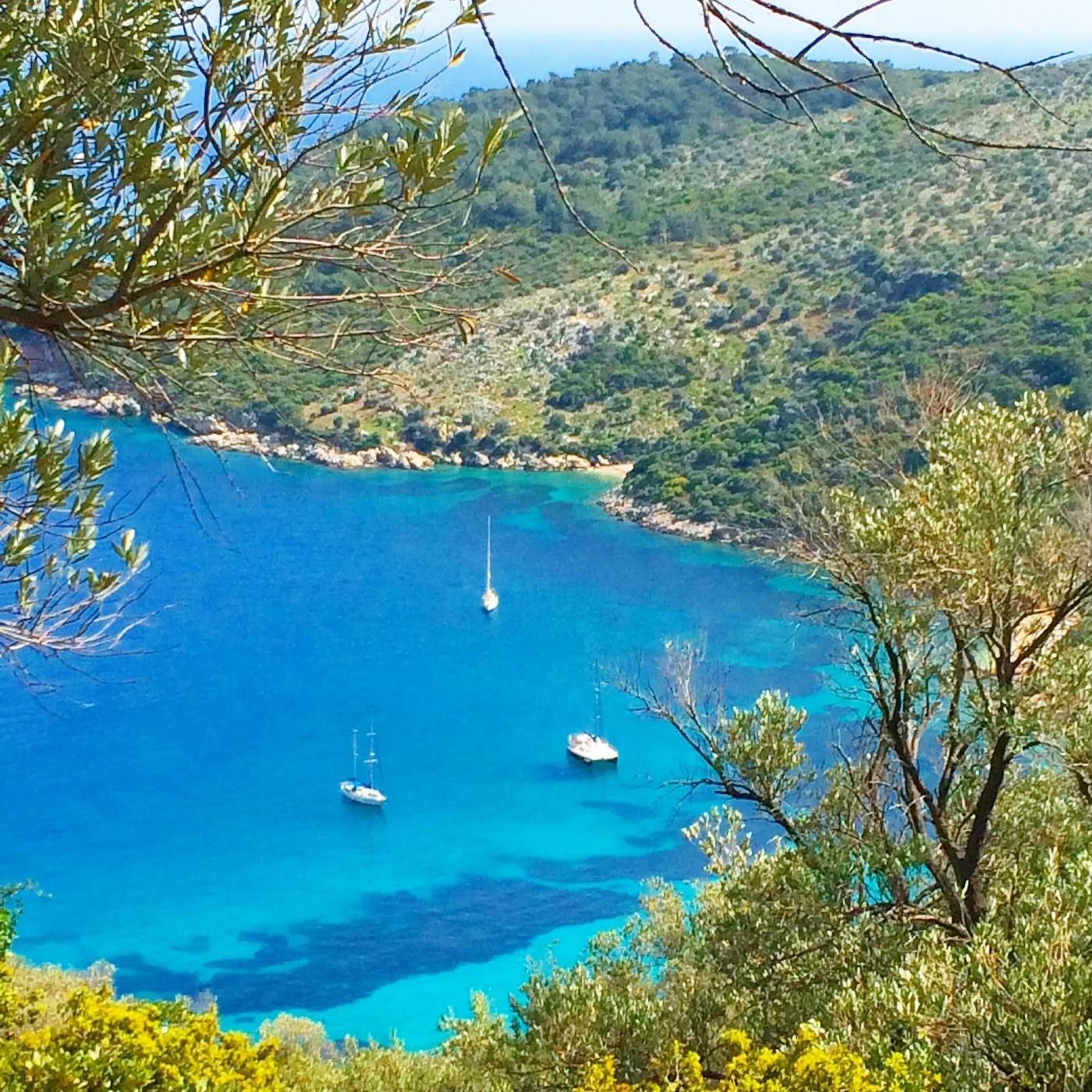 Cat sit on the beautiful Mediterranean coast. - Image 5