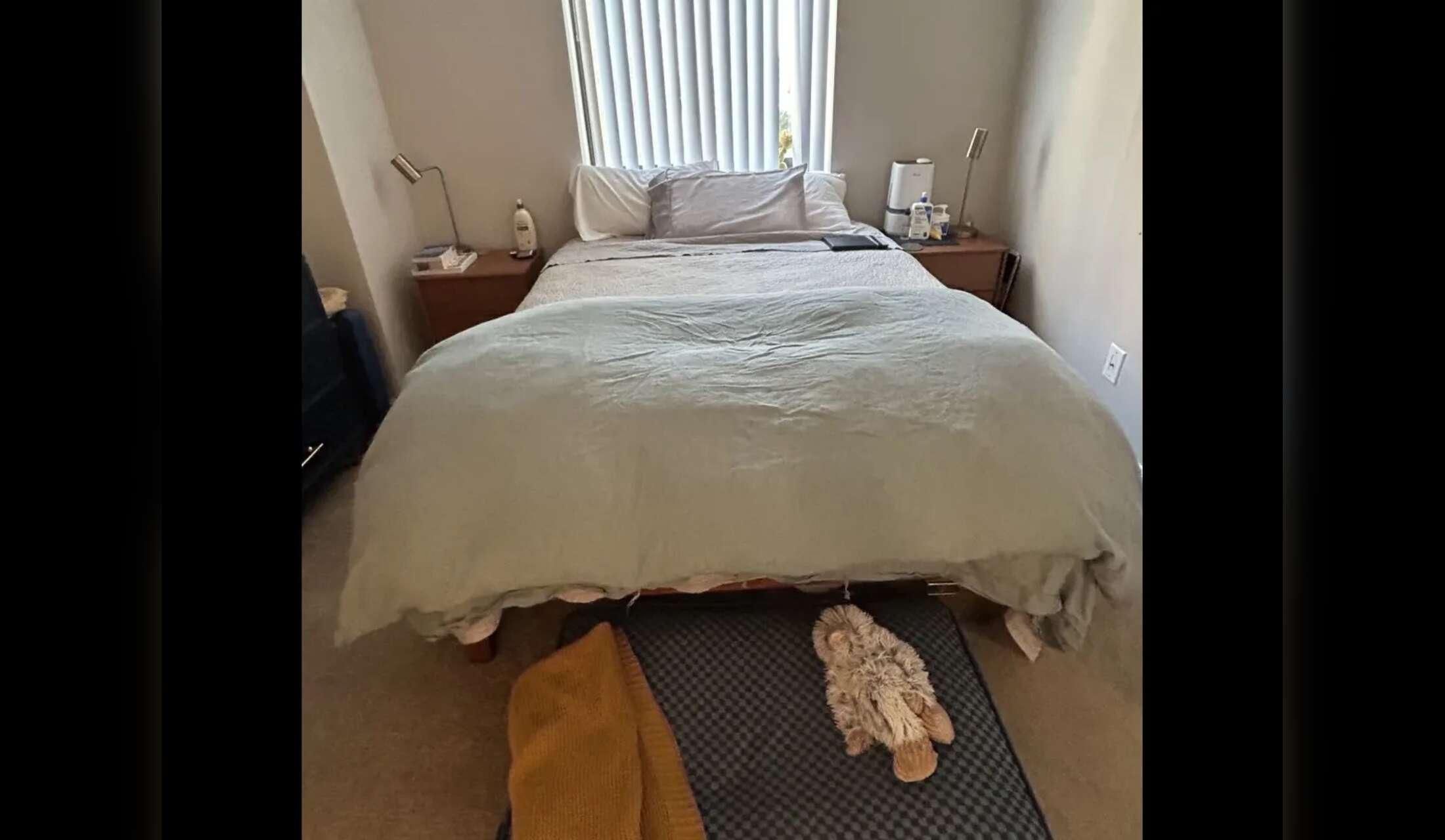 Easy DC living with loving pups! Remote work friendly and no car needed :) - Image 6
