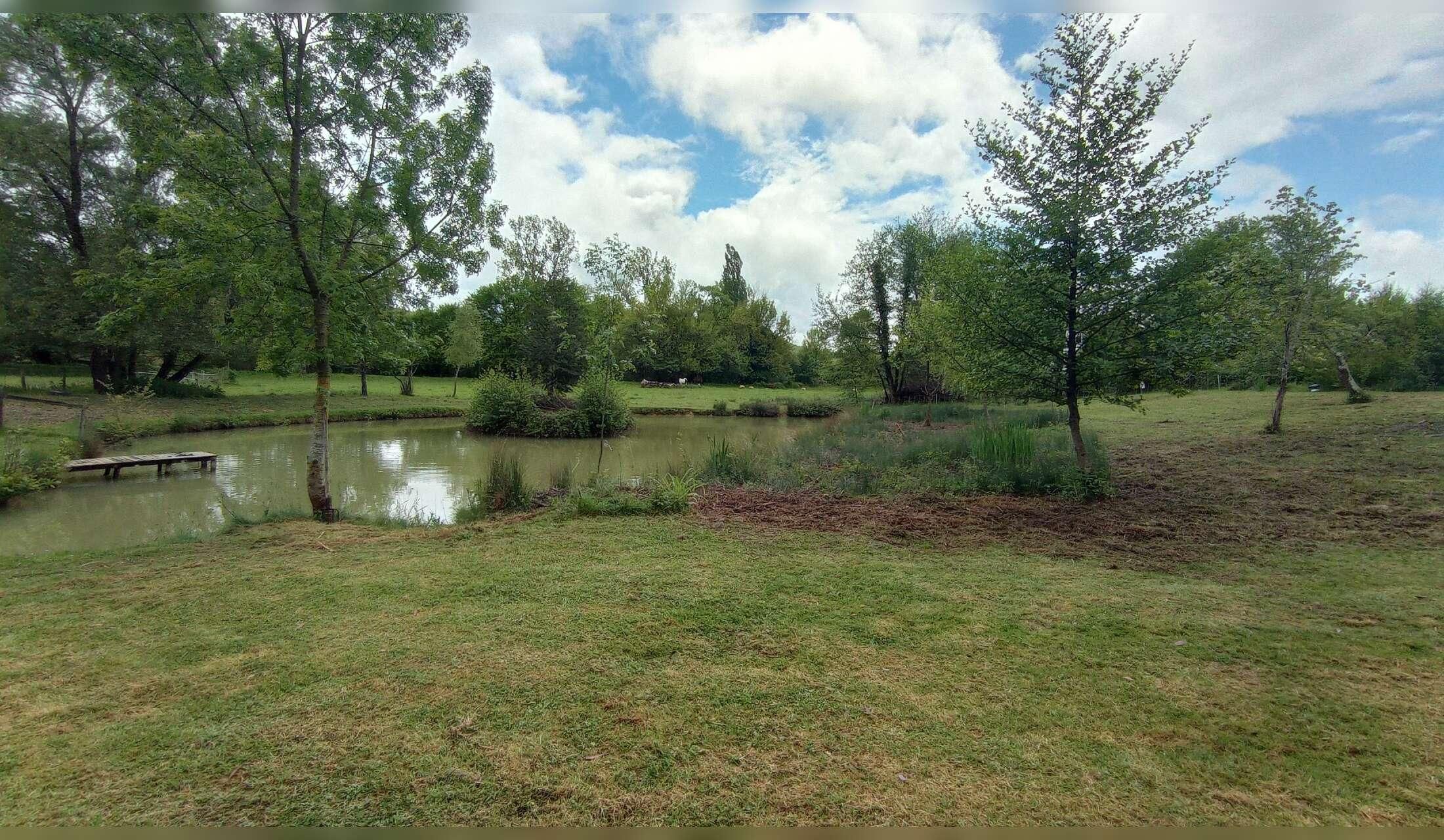 Housesit at a watermill in SW France - Image 3
