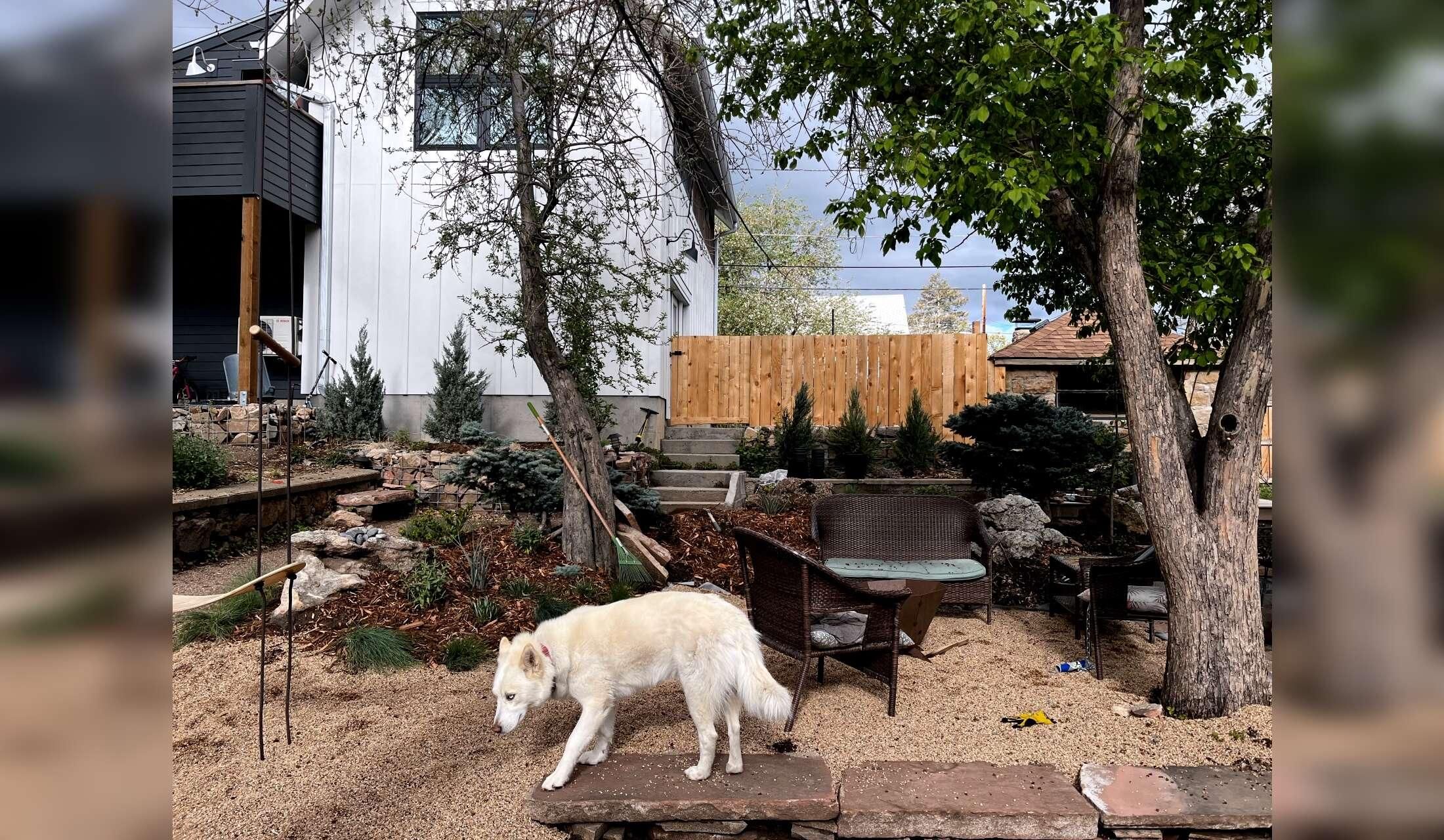 Golden, CO w/ Monty - Image 7