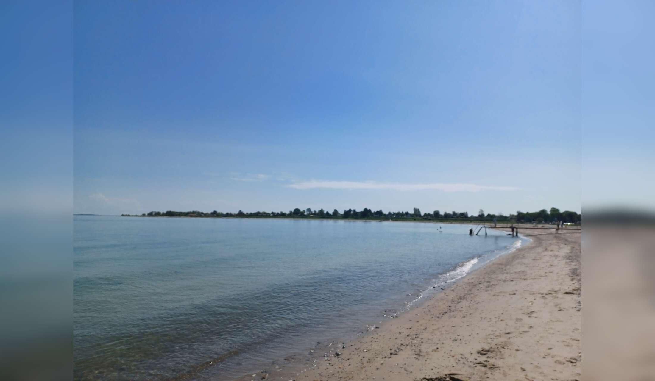 Looking for a house and cat-sitter (Aarhus, Denmark) - Image 2