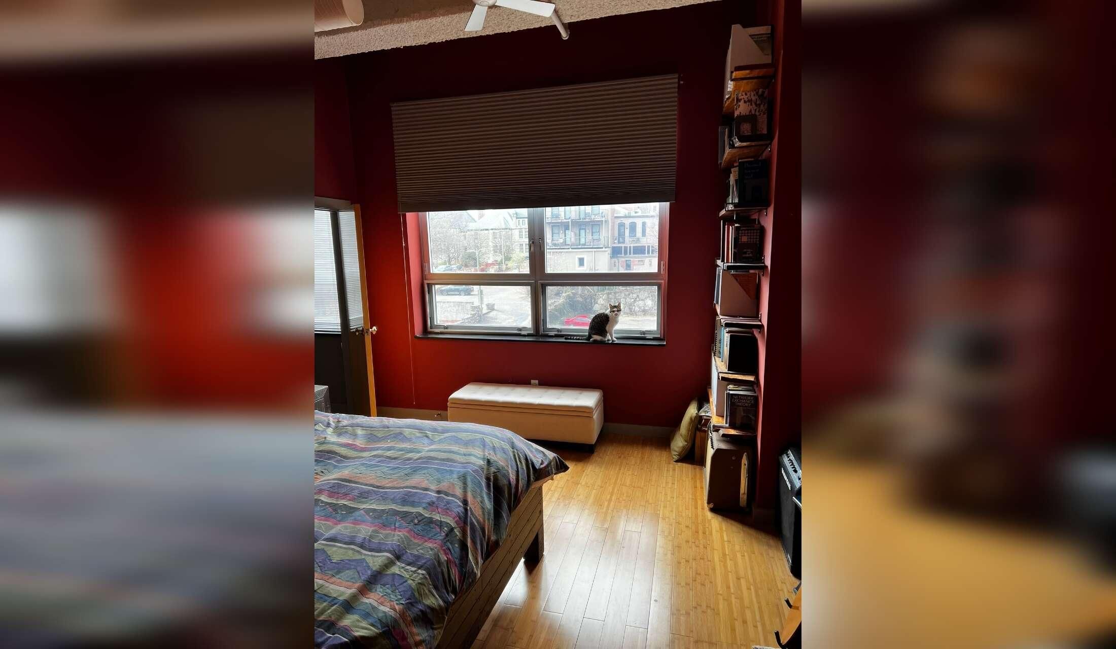 Beautiful Condo in Downtown Asheville, NC - Image 3