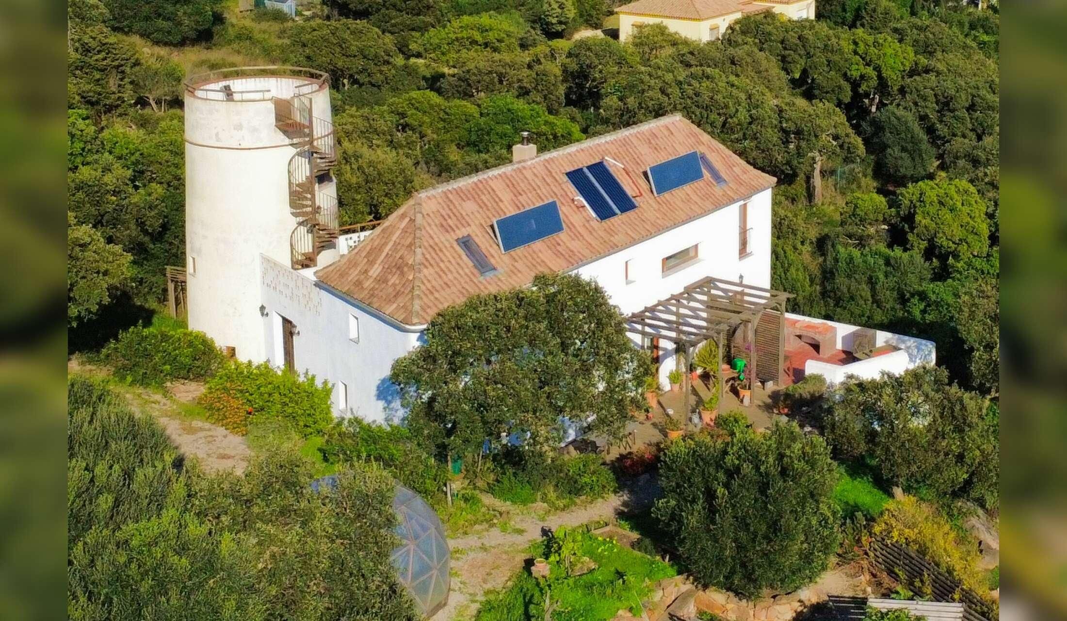 Dog & three cats – rural house sit near Tarifa, long stay for nature lovers