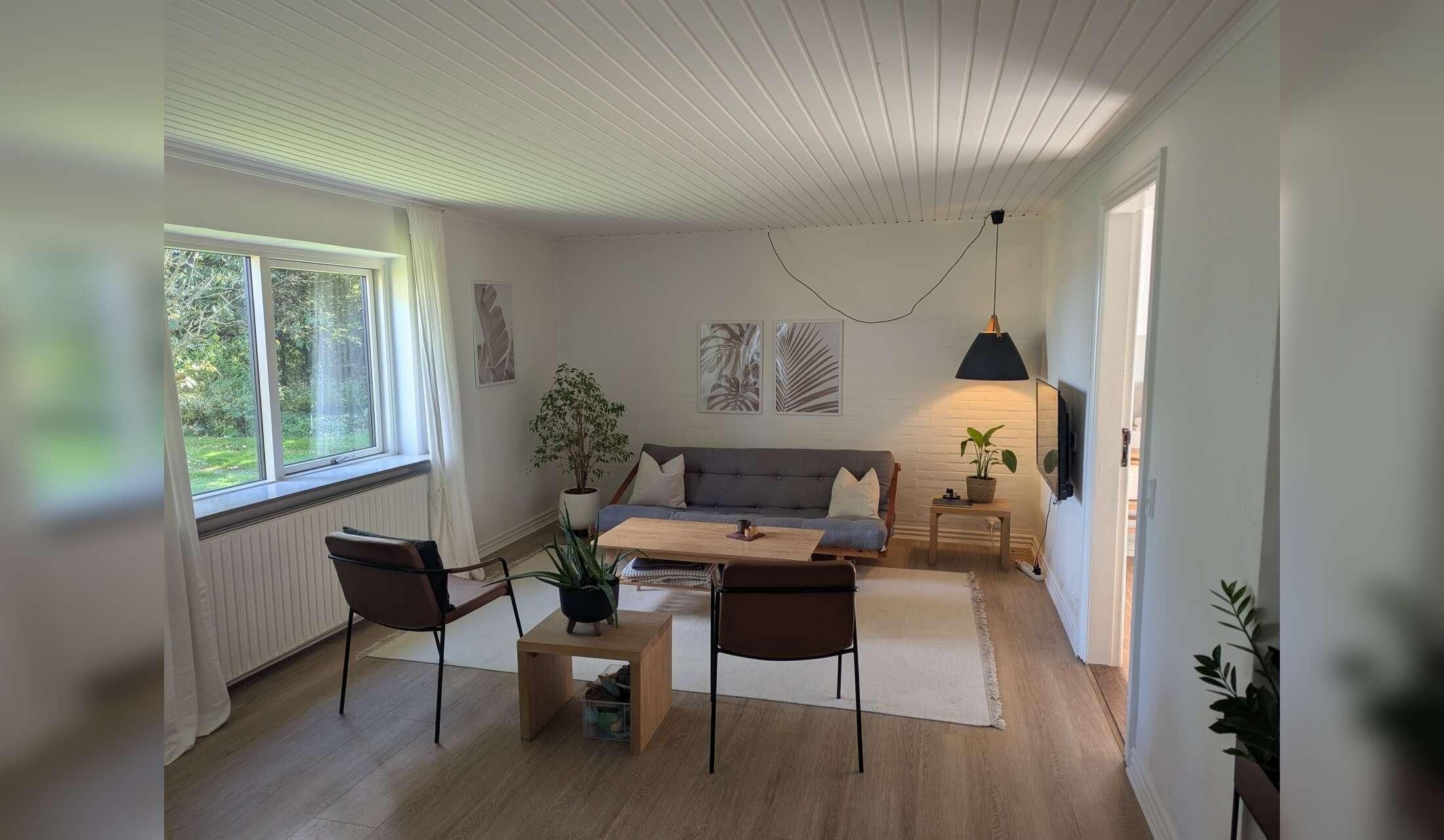 Cat Sitters Wanted - 1 week in November (rural Denmark) - Image 5