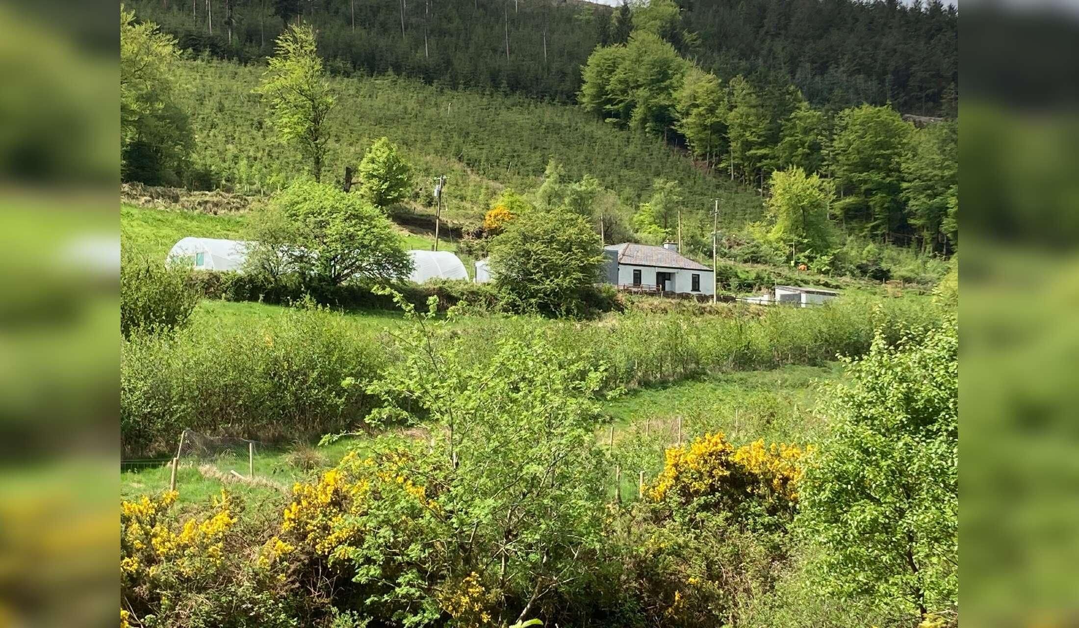 Peaceful Retreat in the Wicklow Mountains, Ireland