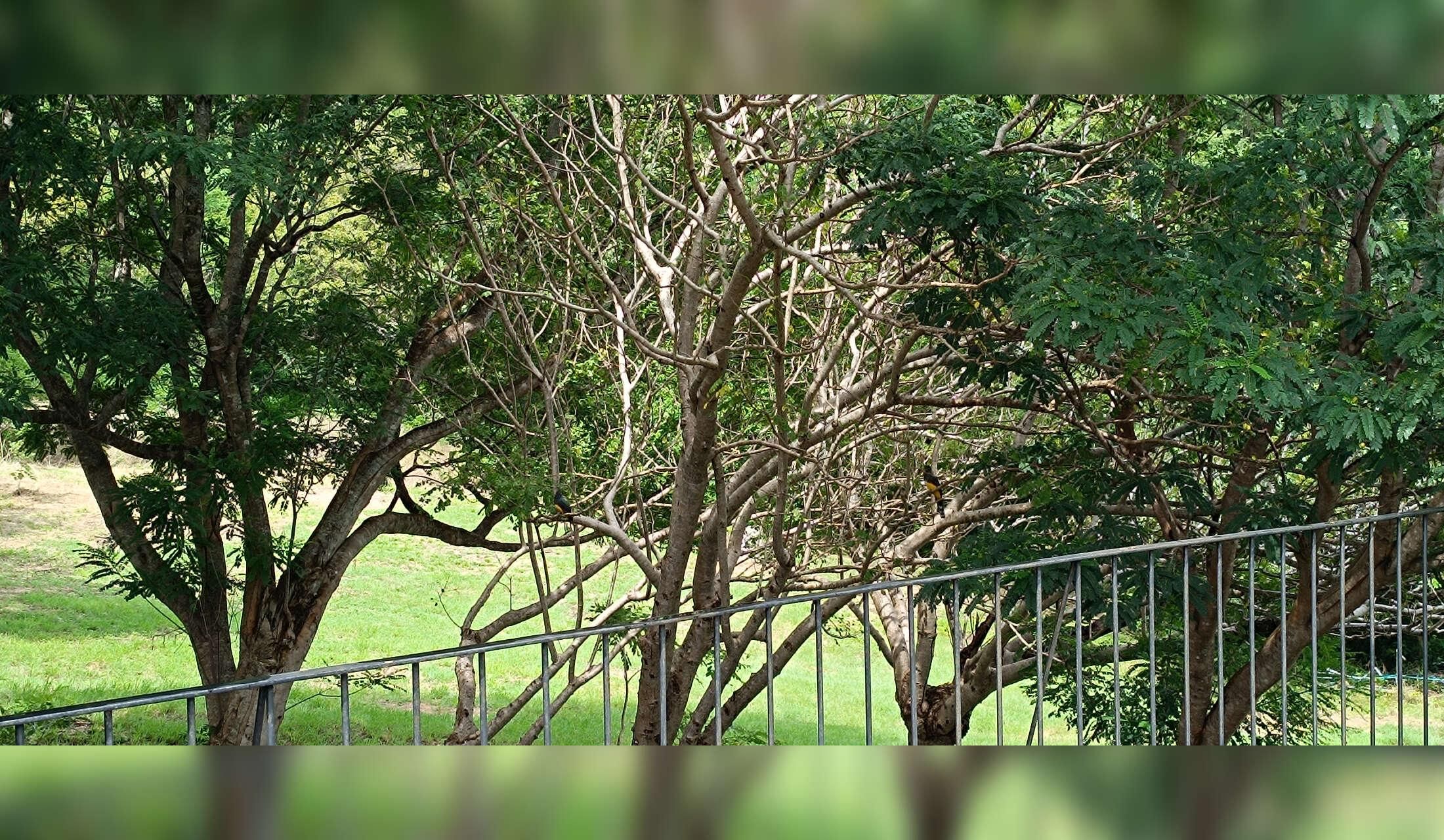 House in a finca surrounded by wild animals - Image 6