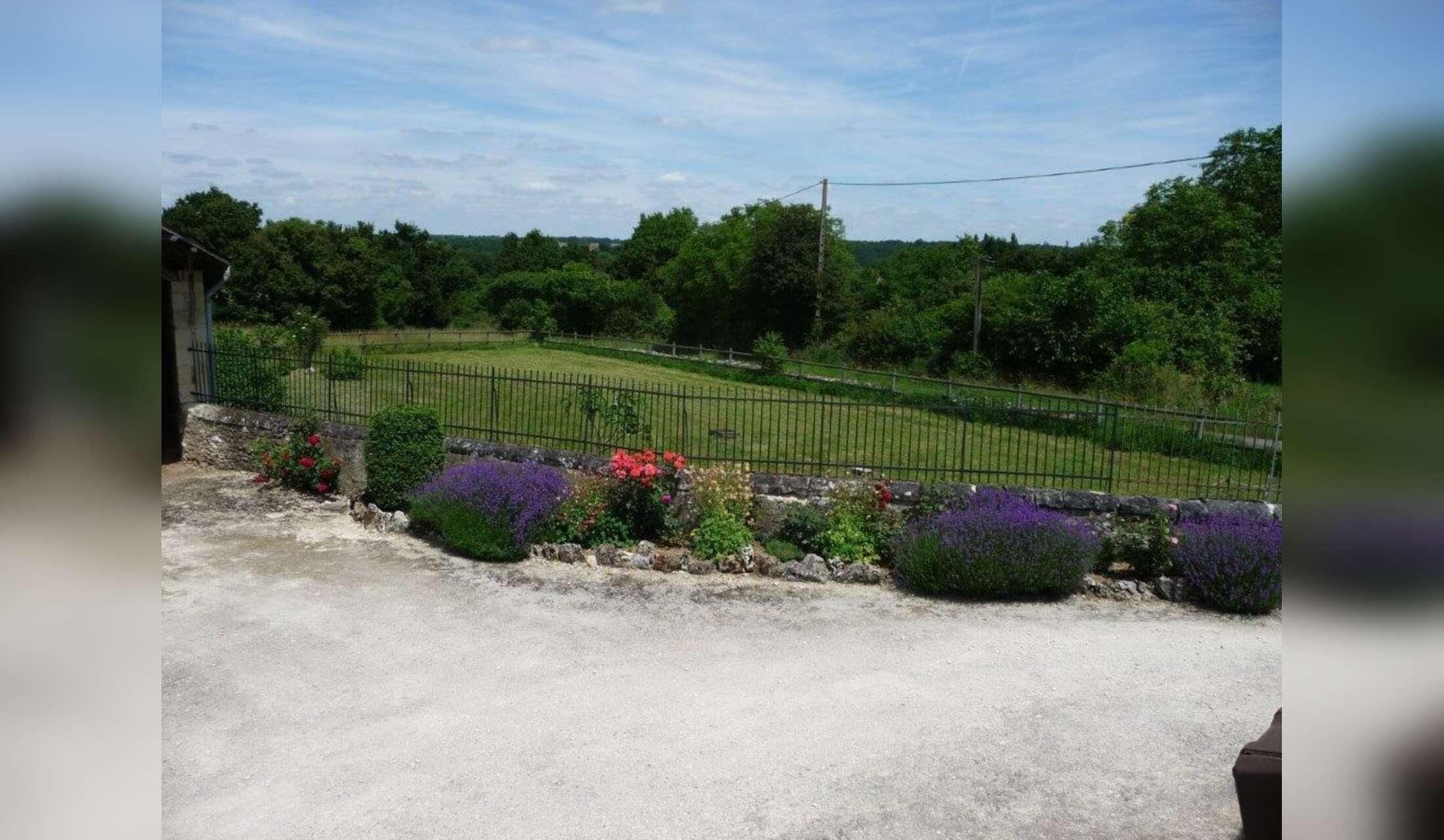 4 week+ rural house sit plus 1 cat and 1 dog mid Feb to mid March near Chatellerault, Vienne, France - Image 4