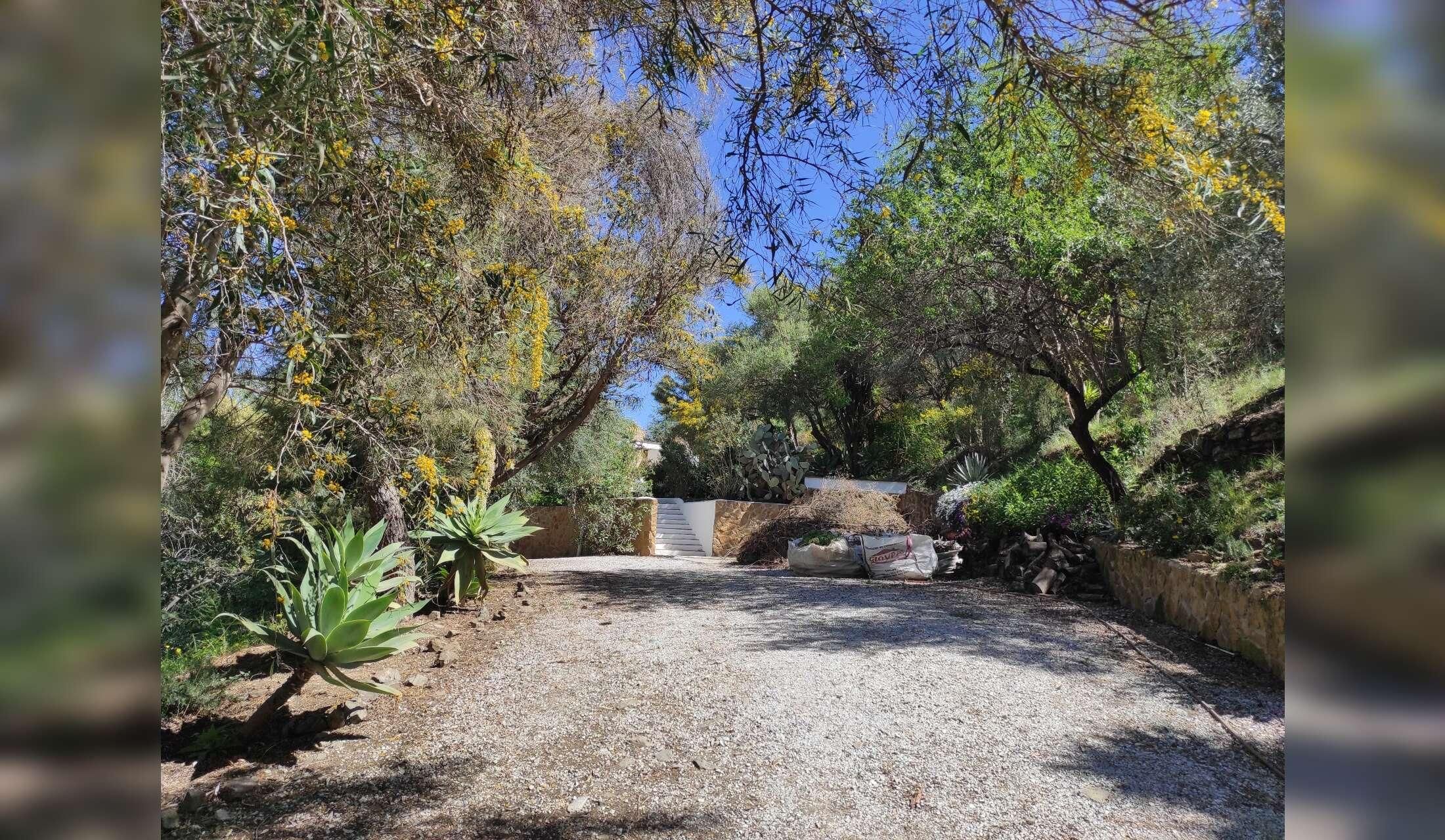 Private hillside 2 acre house 20 minutes from the sea and Tejeda National Park in southern Spain - Image 3